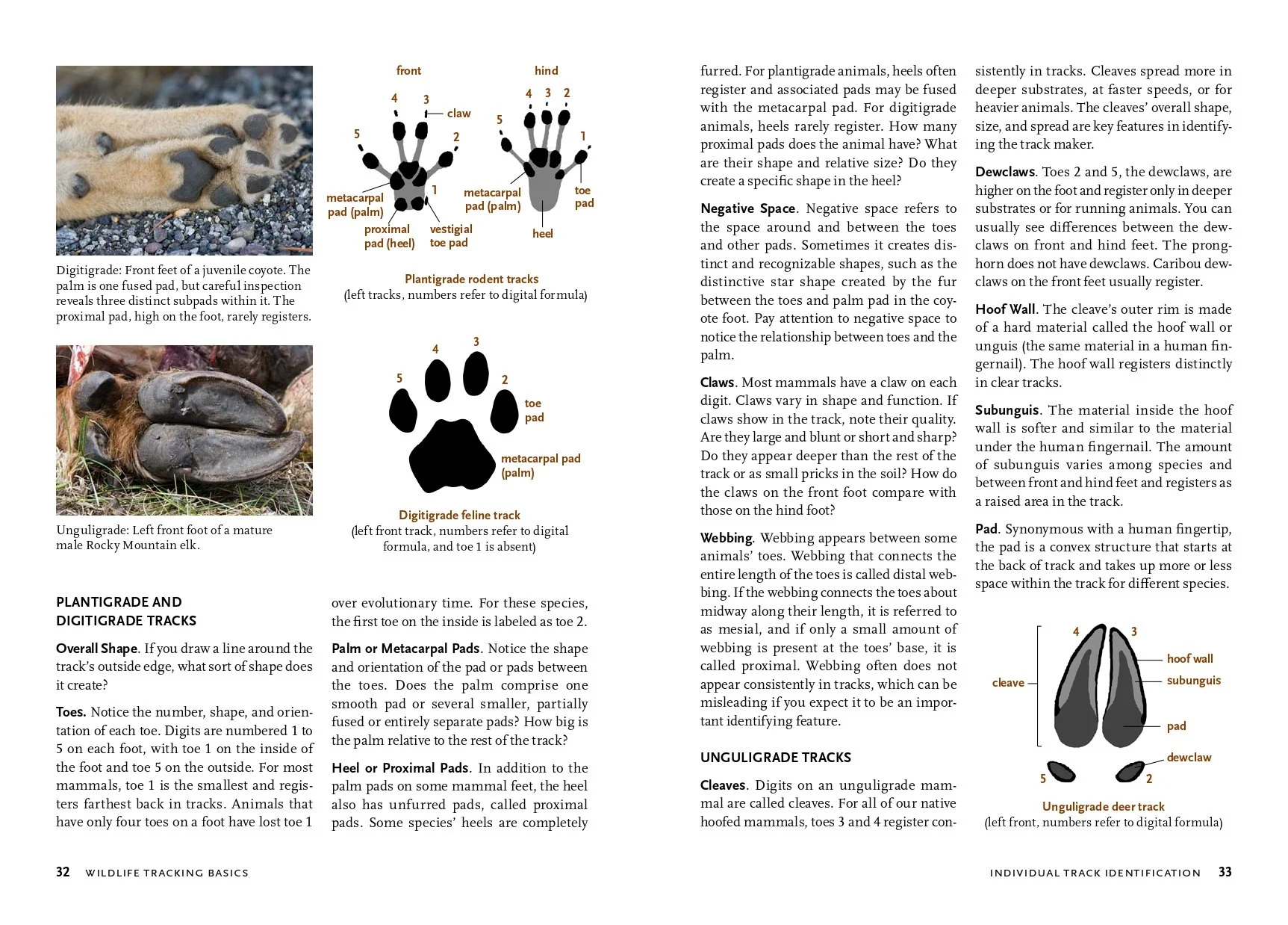 WildlifePNW pdf copy-17_page-0001.jpg