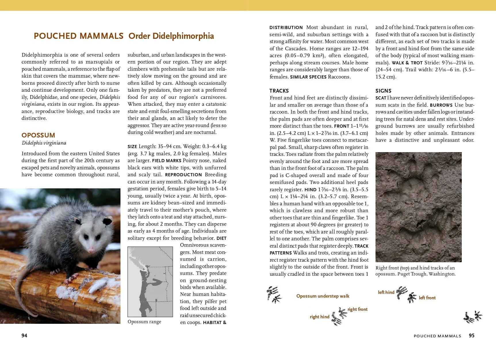 WildlifePNW pdf copy-48_page-0001.jpg