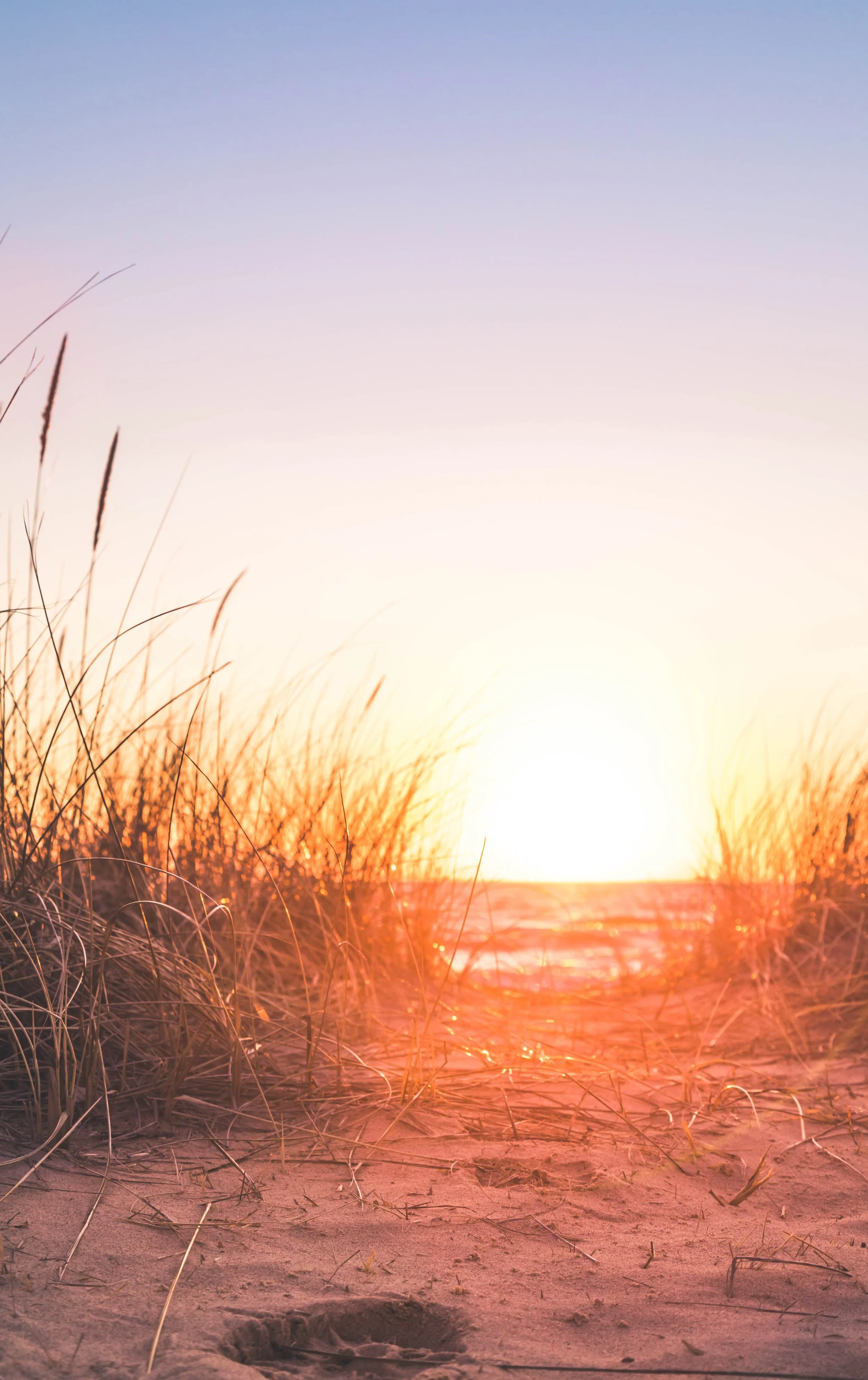backlit-beach-dawn-1032651.jpg