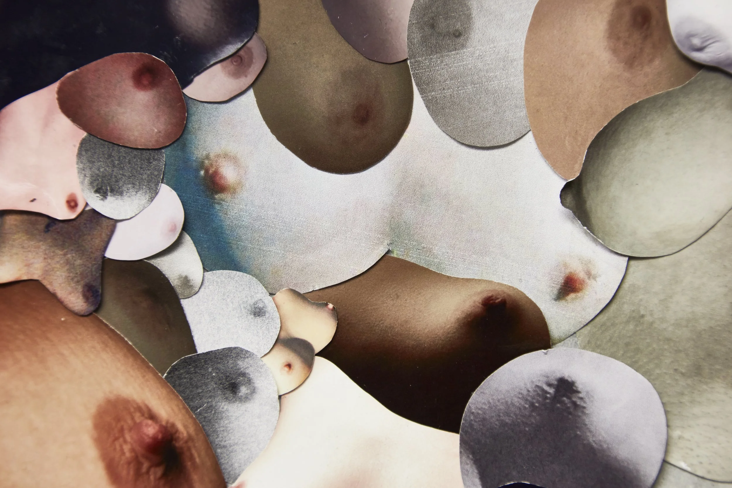 20220306_DOCUMENTATION_SAIC_0021 1.jpg