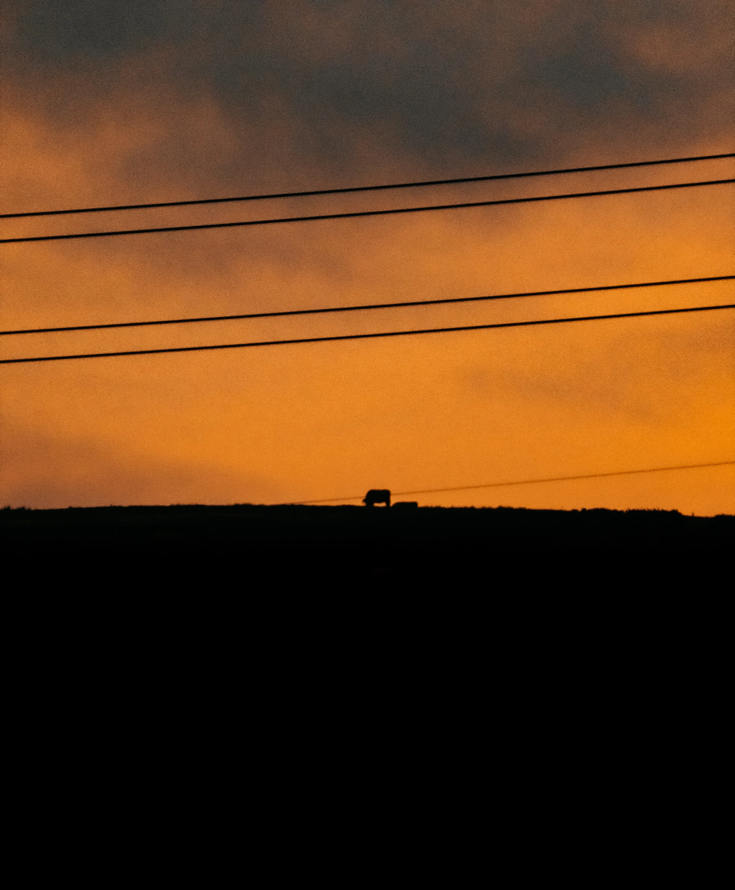 DSCF1811.jpg