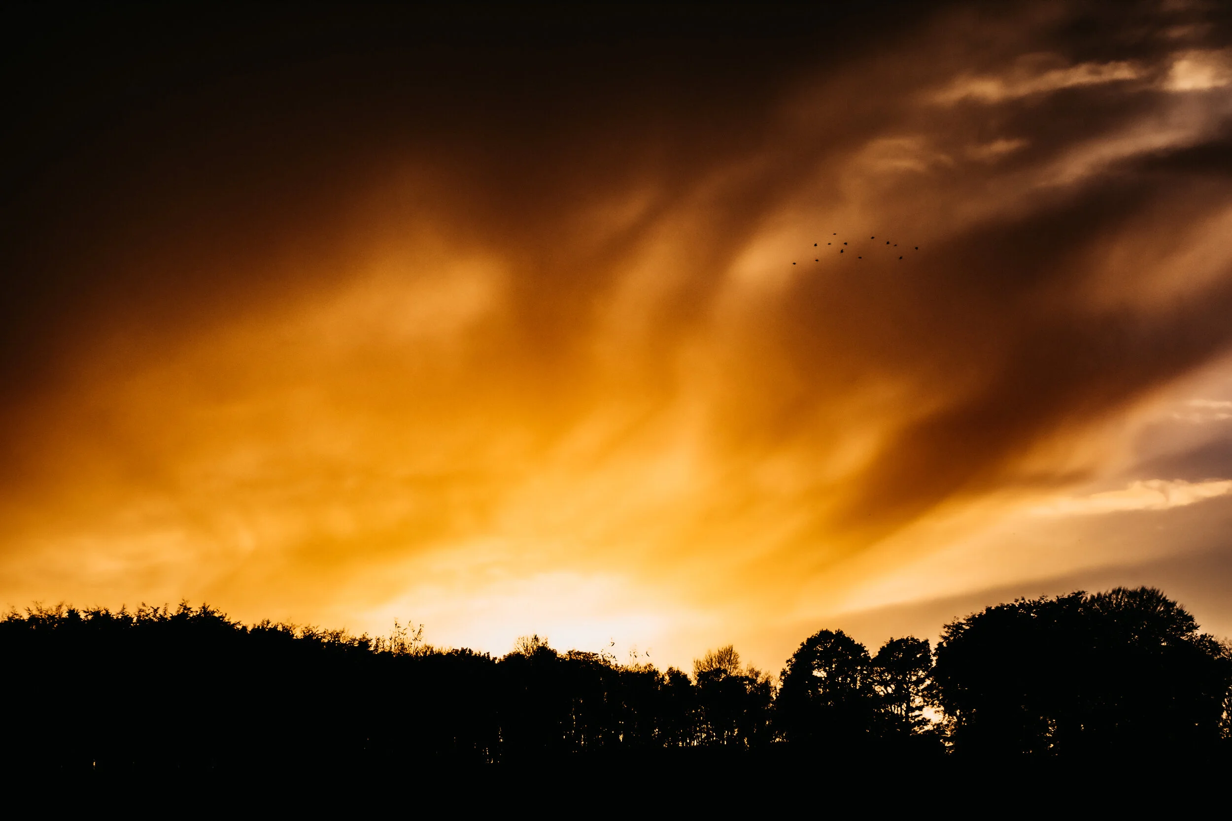 DSCF1581.jpg