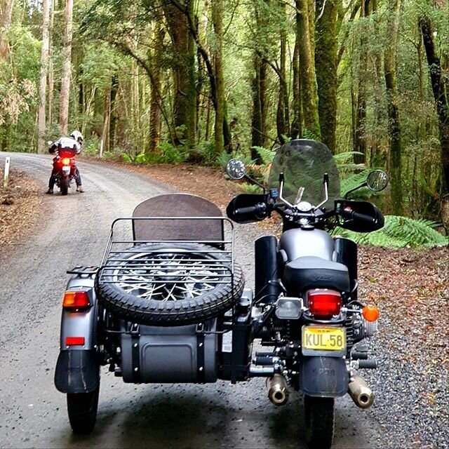 Having some alone time in Tasmania 
Photo @bad_a_betty 
#alonetime #uralmotorcycles #uralsidecar #uralaustralia #tasmania #uralriders #sidecar #adventurebike