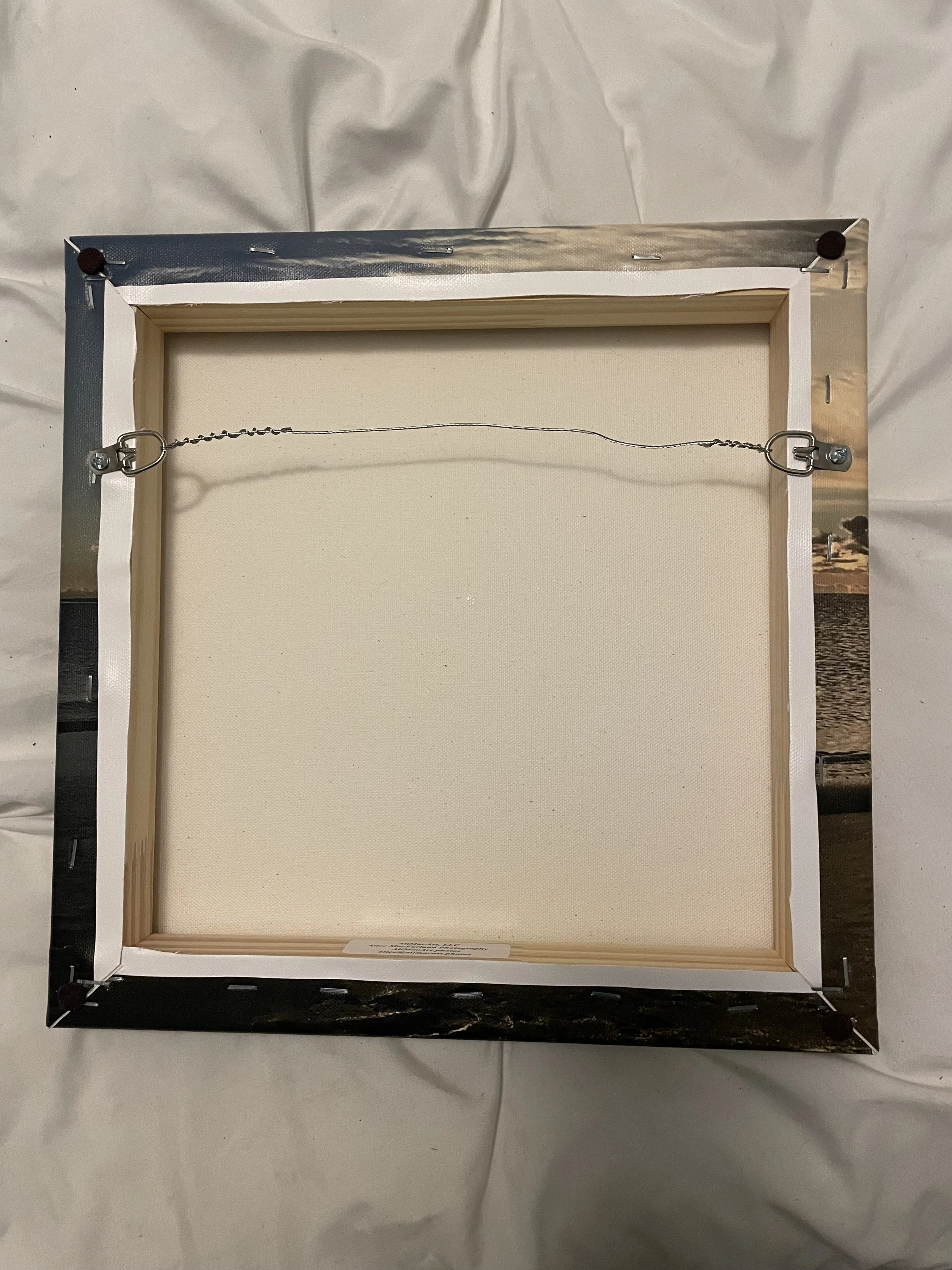 back enjoying the view.jpg