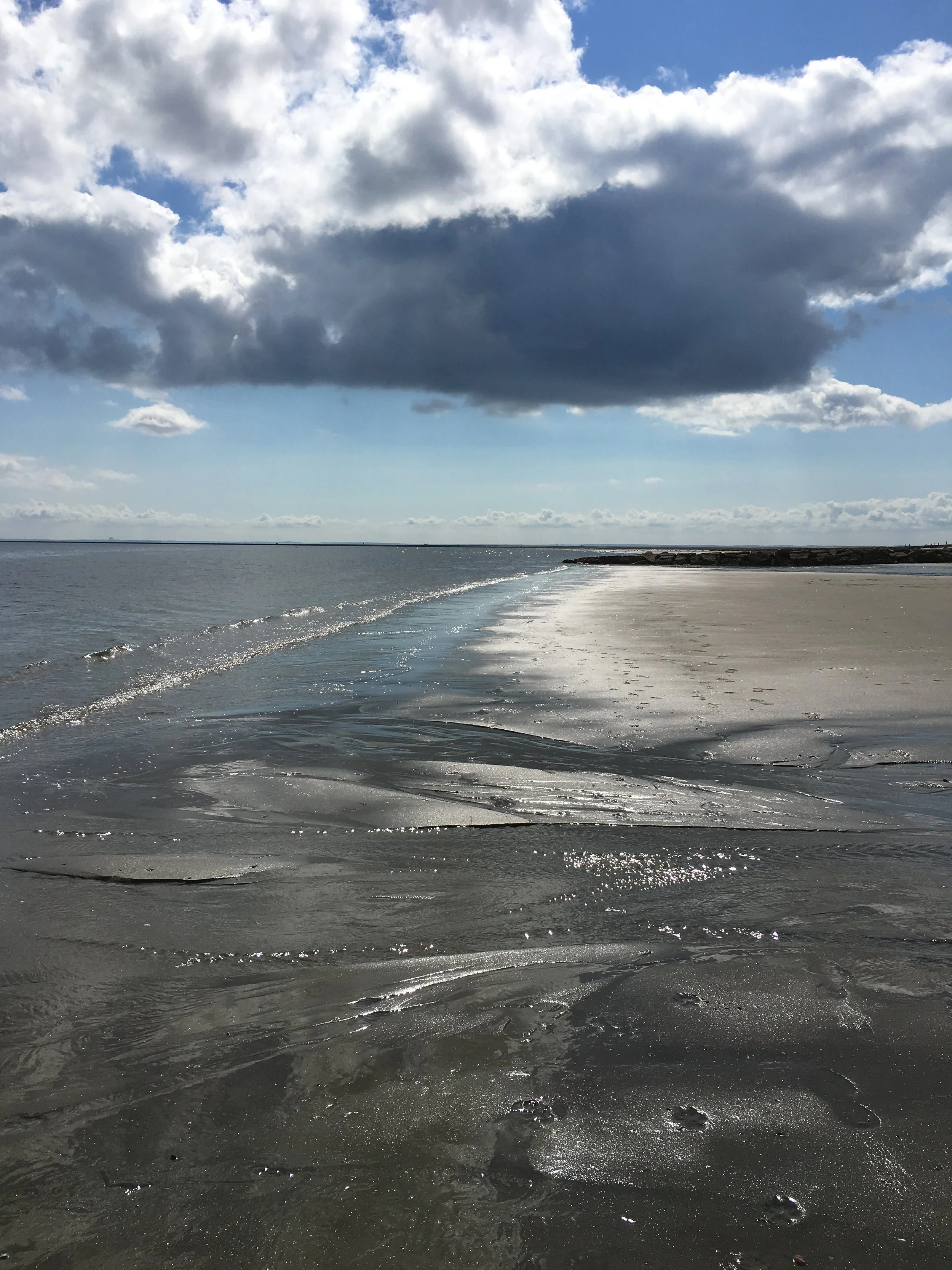 photo Penfield low tide pools.JPG