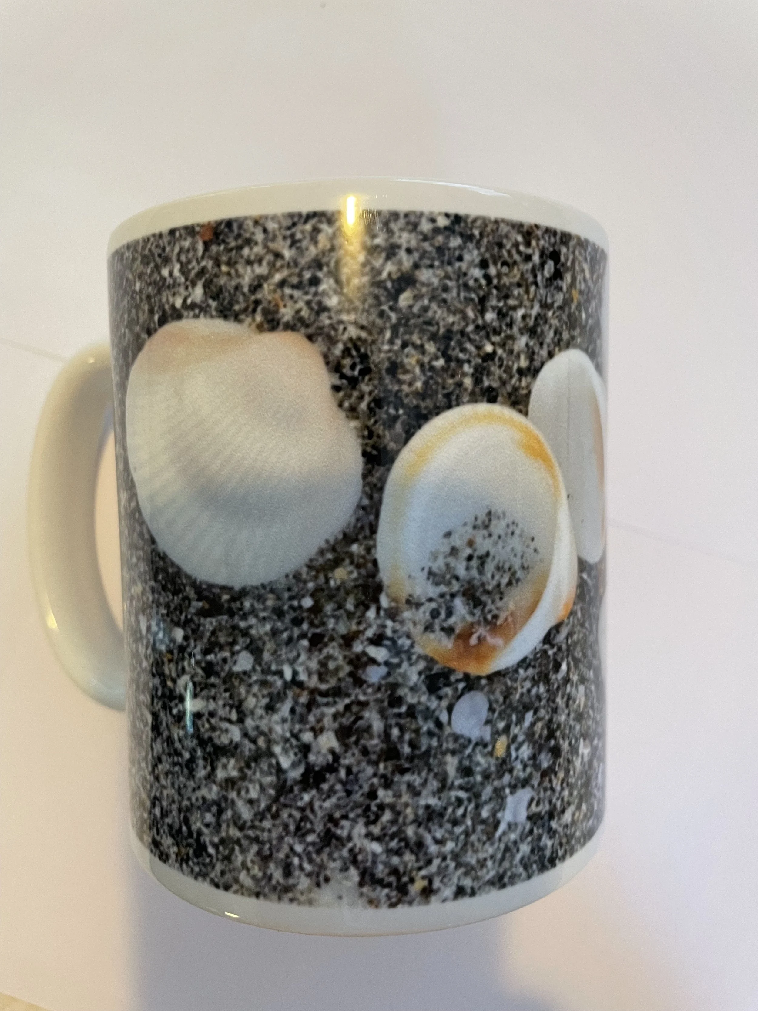 photo ceramic mug back shells.jpg