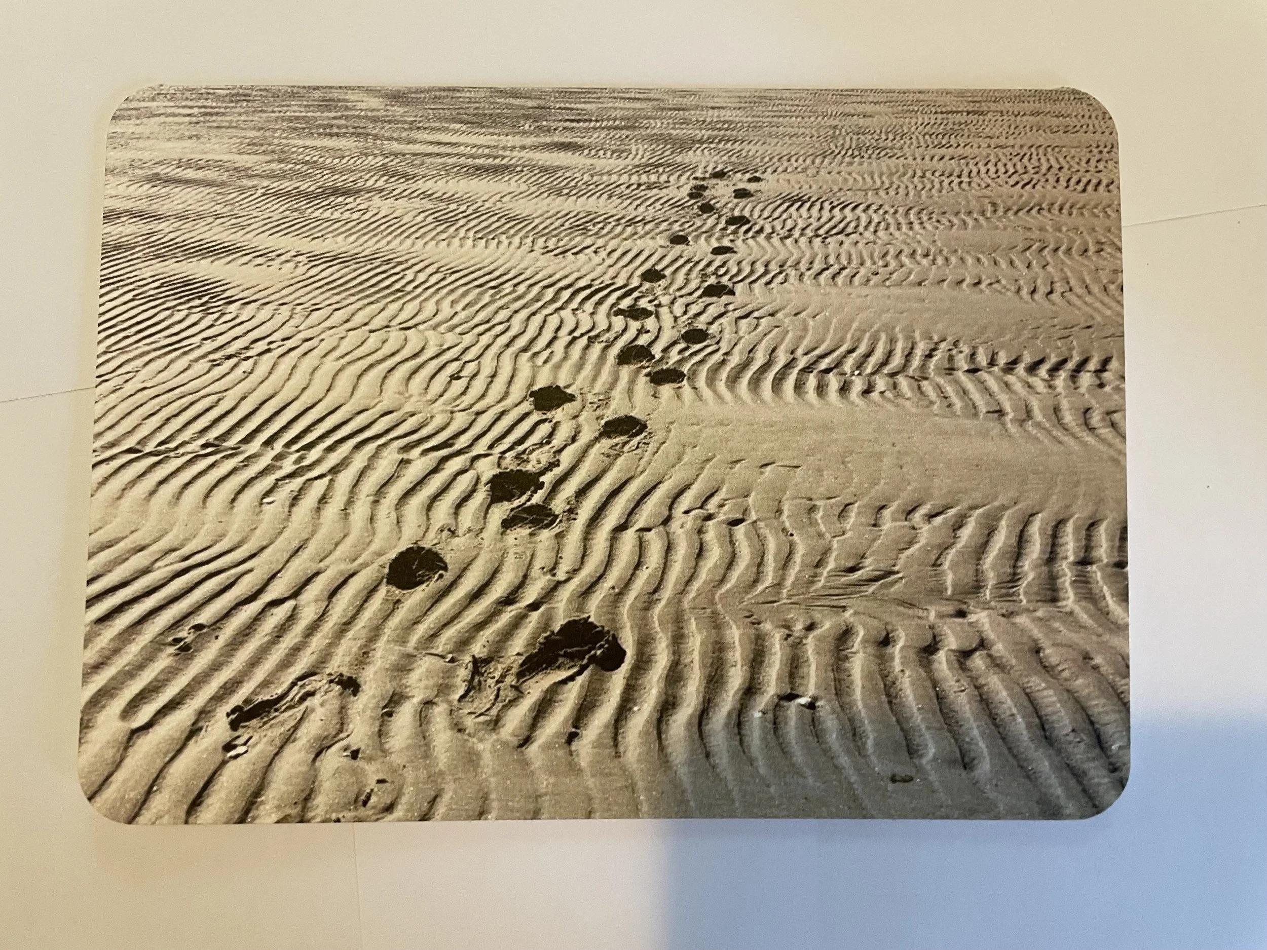 photo follow me card front.jpg