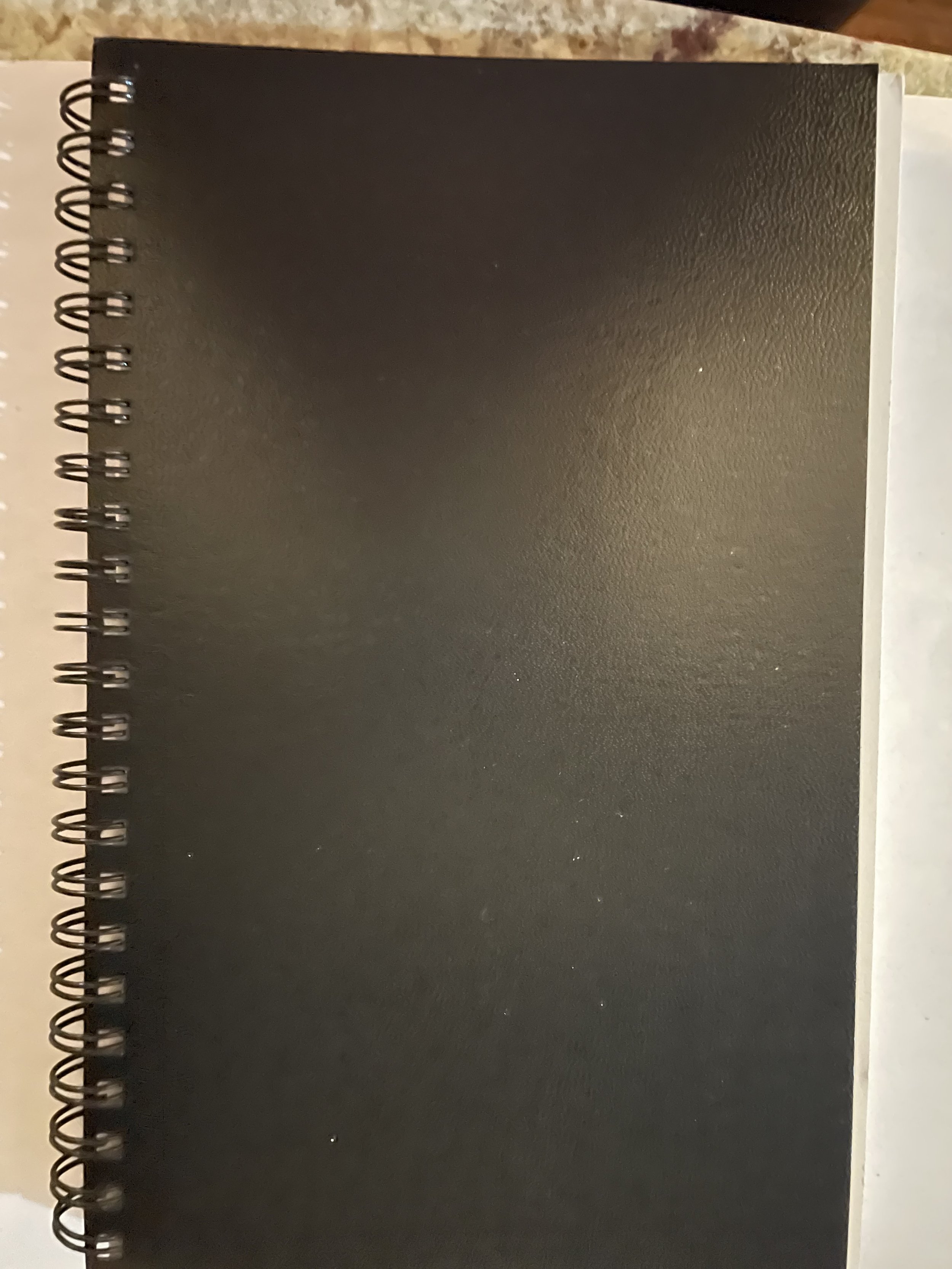 photo back of journal taking flight.jpg