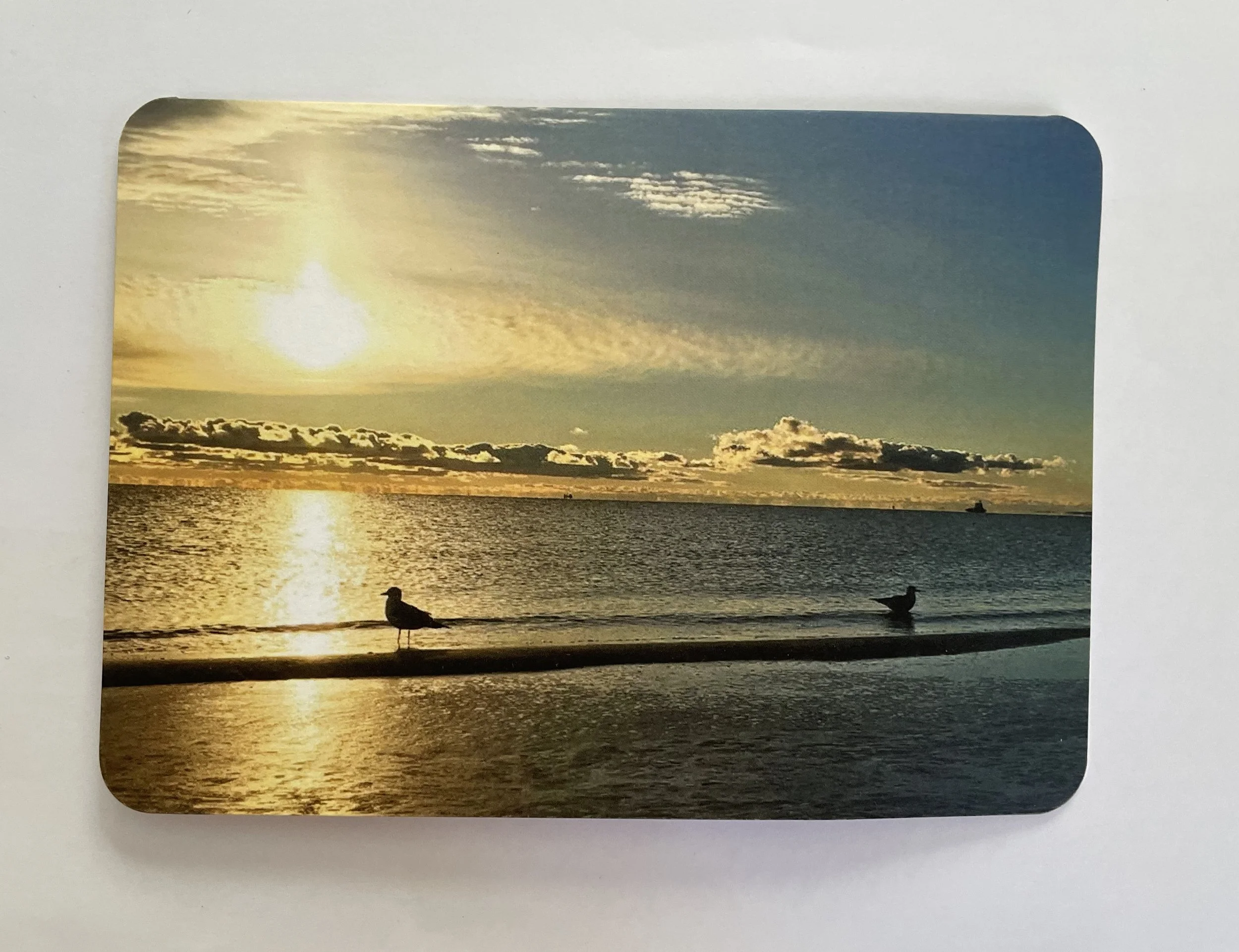 photo note card front enjoying the view.jpg