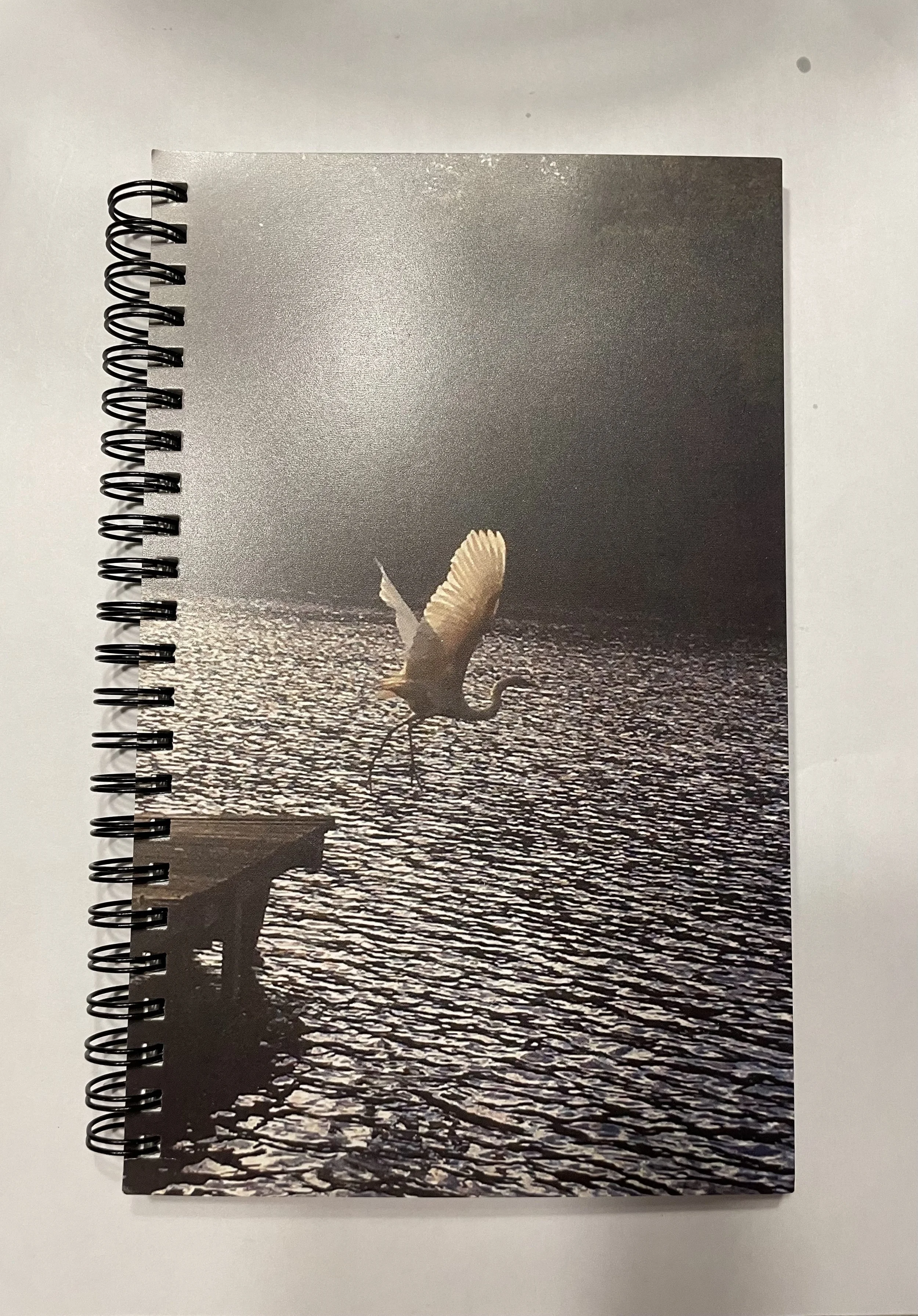 photo journal taking flight.jpg