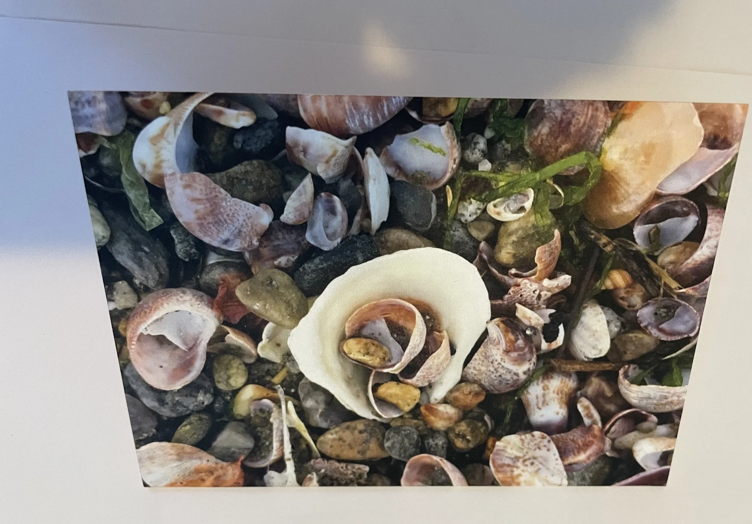 Photo treasure card front.jpg