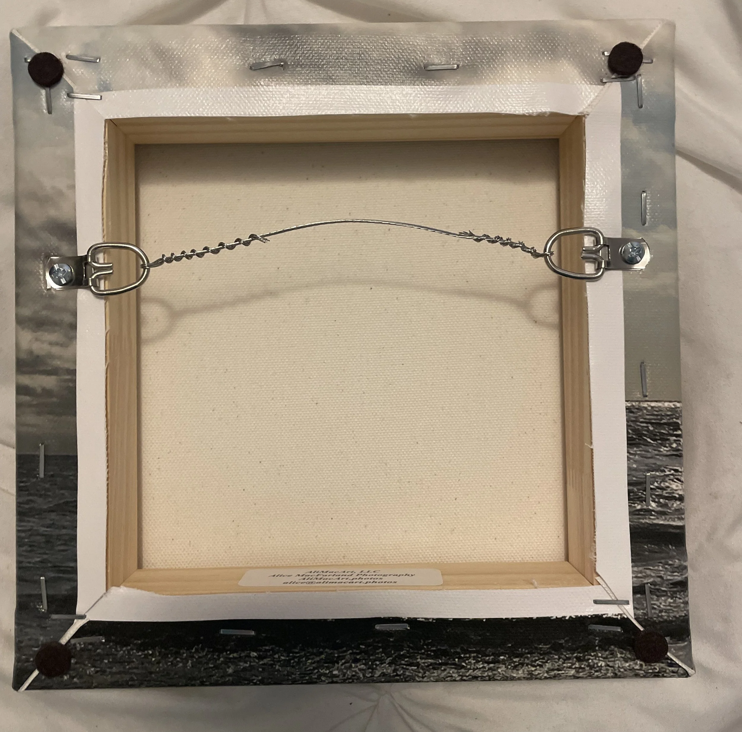 back Mid Flight Delight.jpg