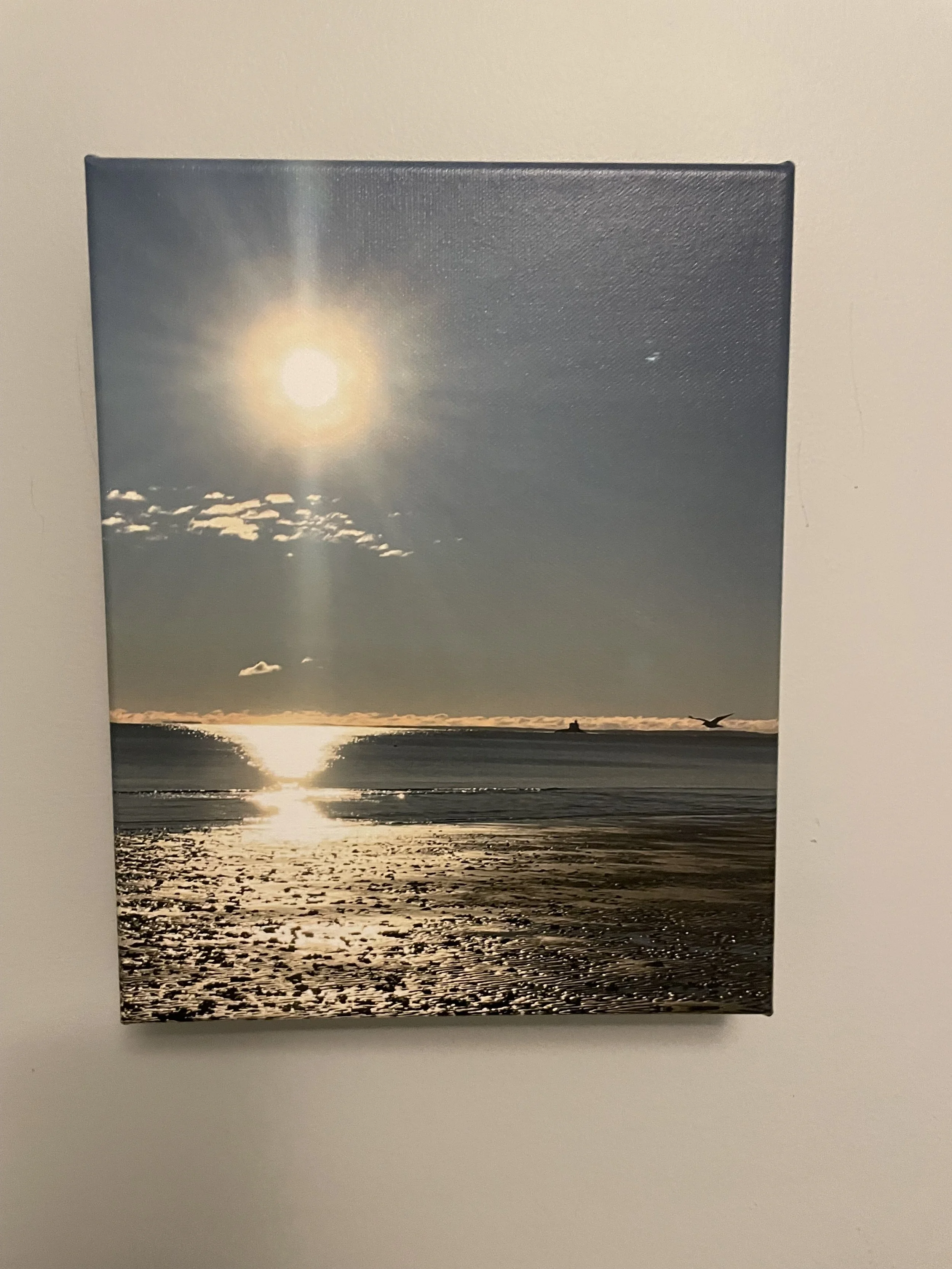 front Penfield light sparkle canvas.jpg