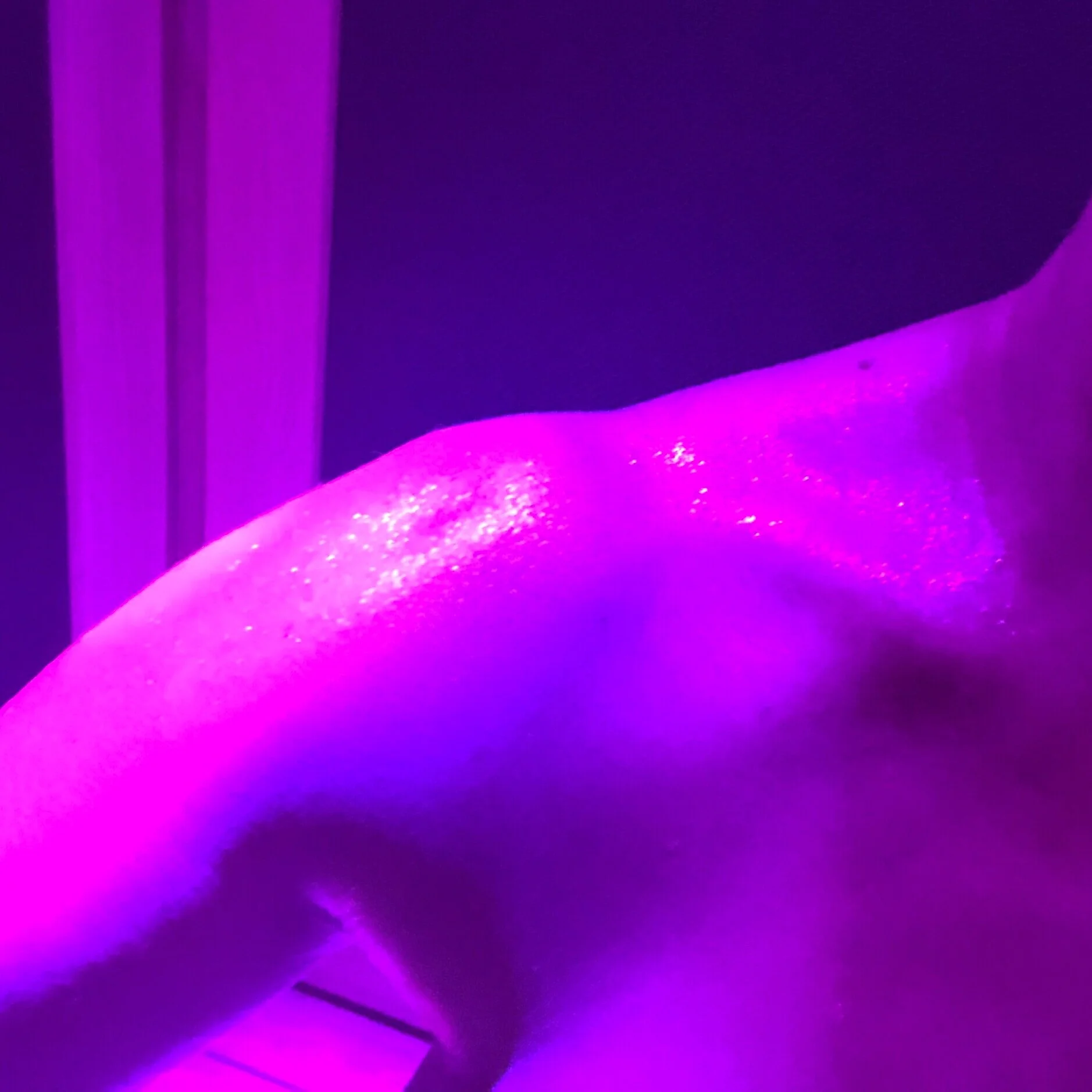 Denver Infared Sauna Spa Amy Gray Wellness — Amy Gray Wellness