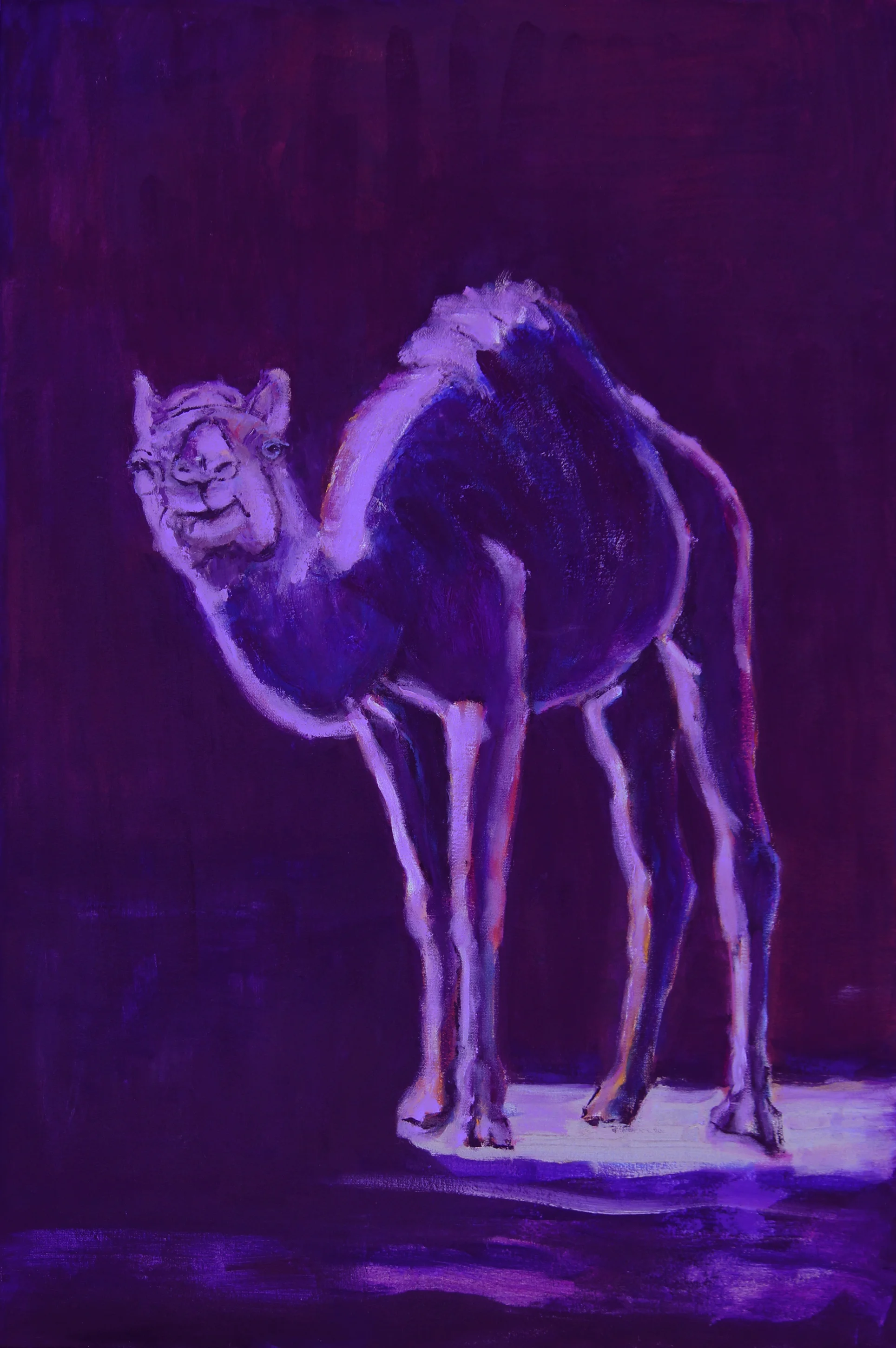 "I'd Walk A Mile For... " 36x24  oil  On Linen  Gallery Wrapped  