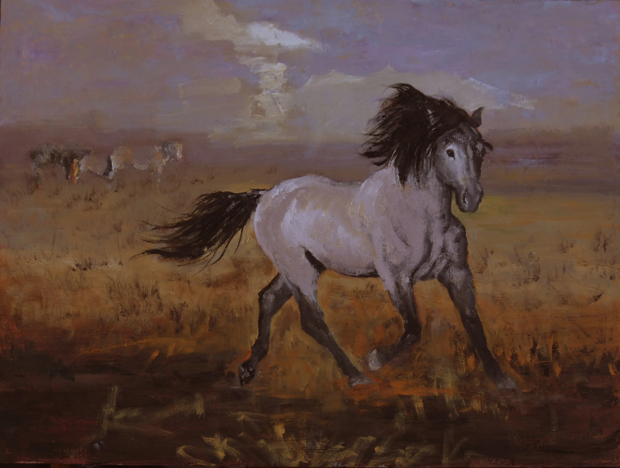 " Spanish Dancer" -18x24  oil  On Linen   Framed  $2200