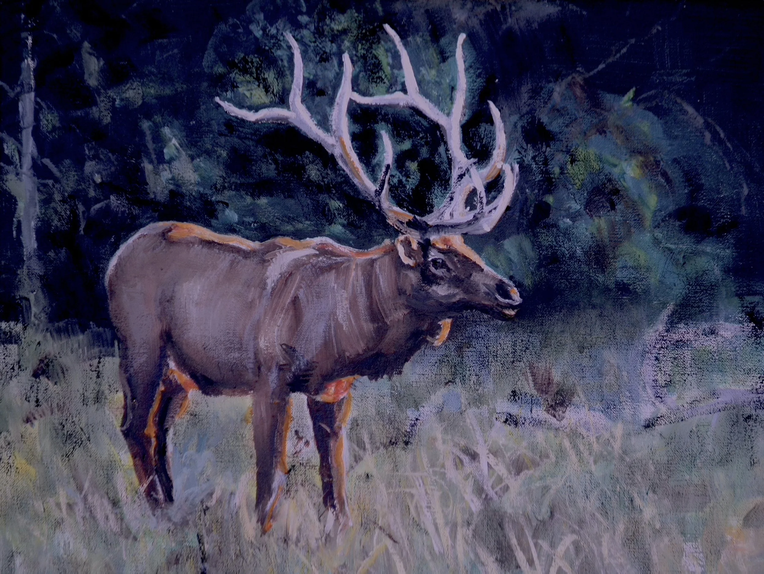 Going Stag   11x14  oil On Linen  Canvas Framed 