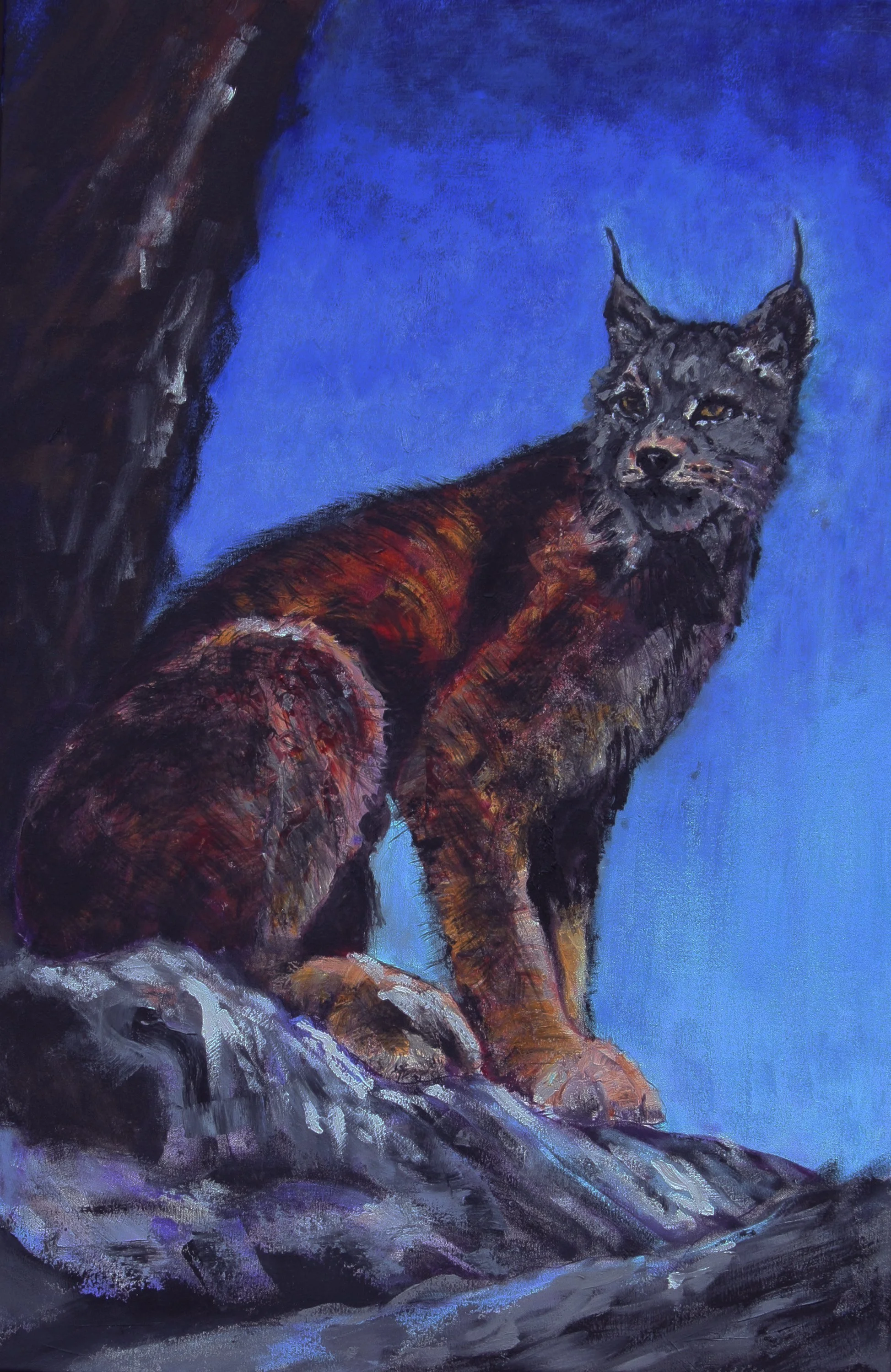 The Missing Lynx   36x24  oil On Linen Canvas   Framed  