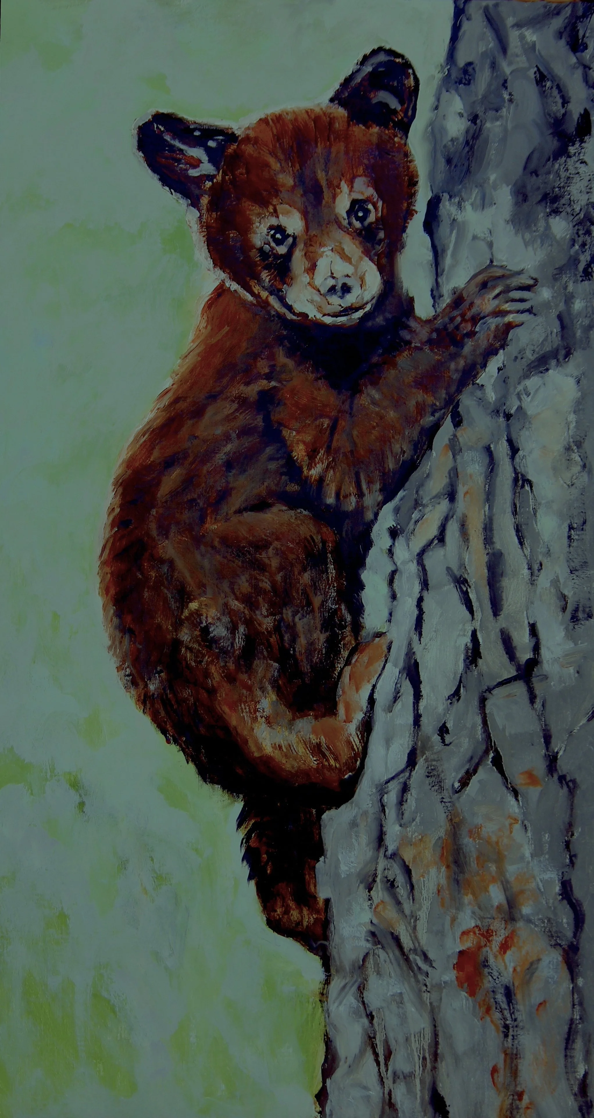 Rocky Mountain High   Oil  30x16  On Linen Canvas  Unframed 