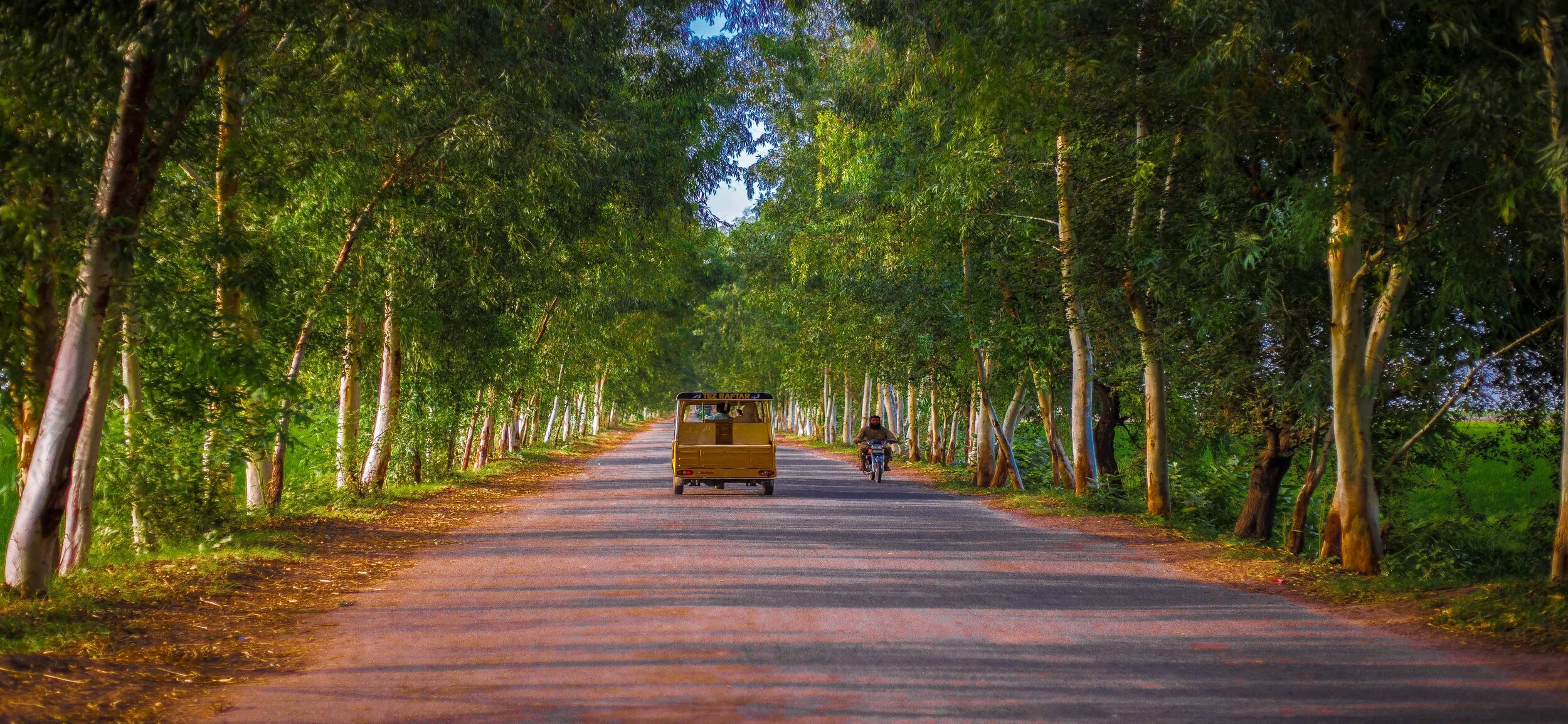 OVERWATCH+FLYER+5 (1)_Page_1_Image_0001.jpg