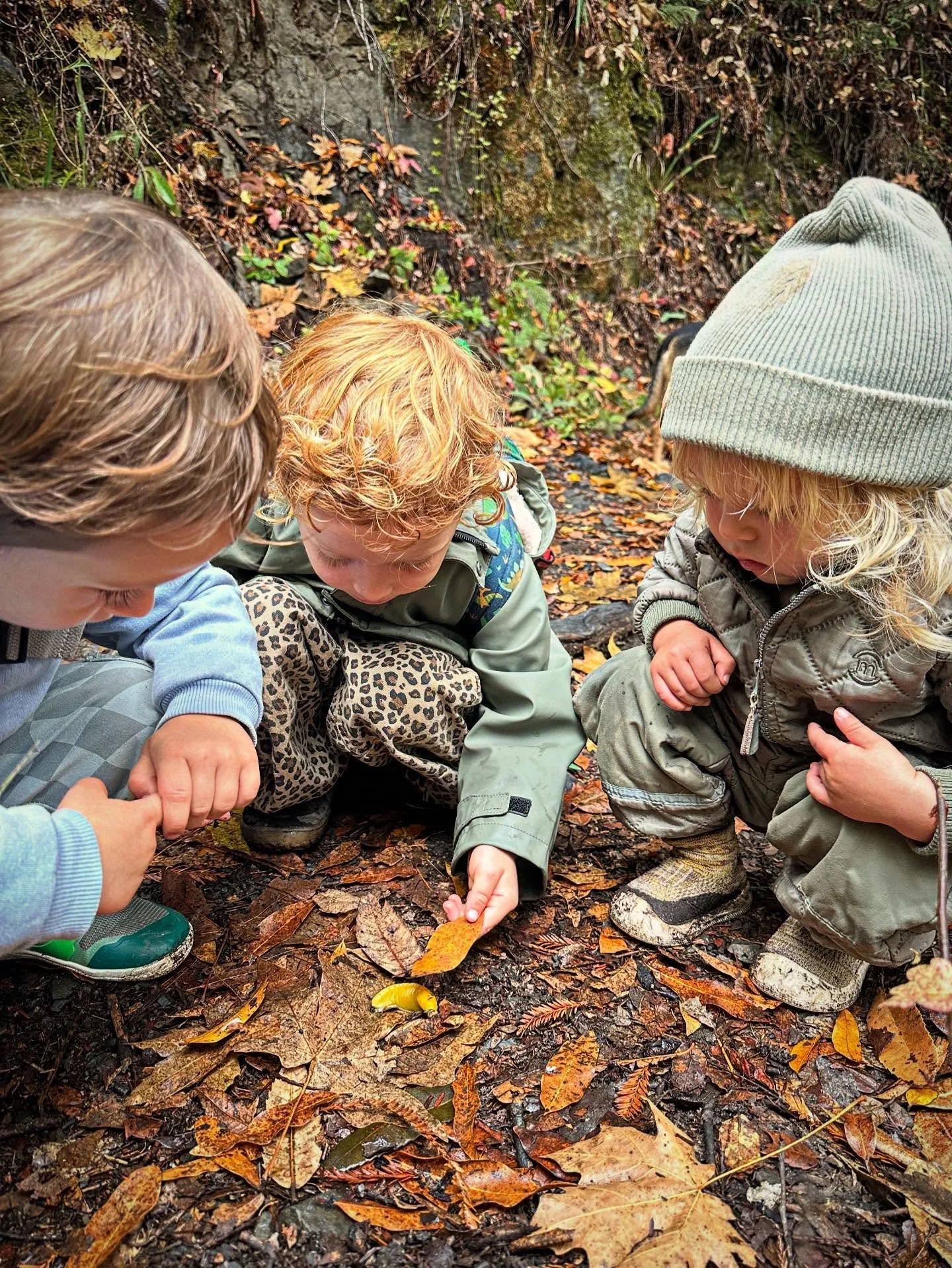 Continuously curious, connecting to creatures with compassion for our community