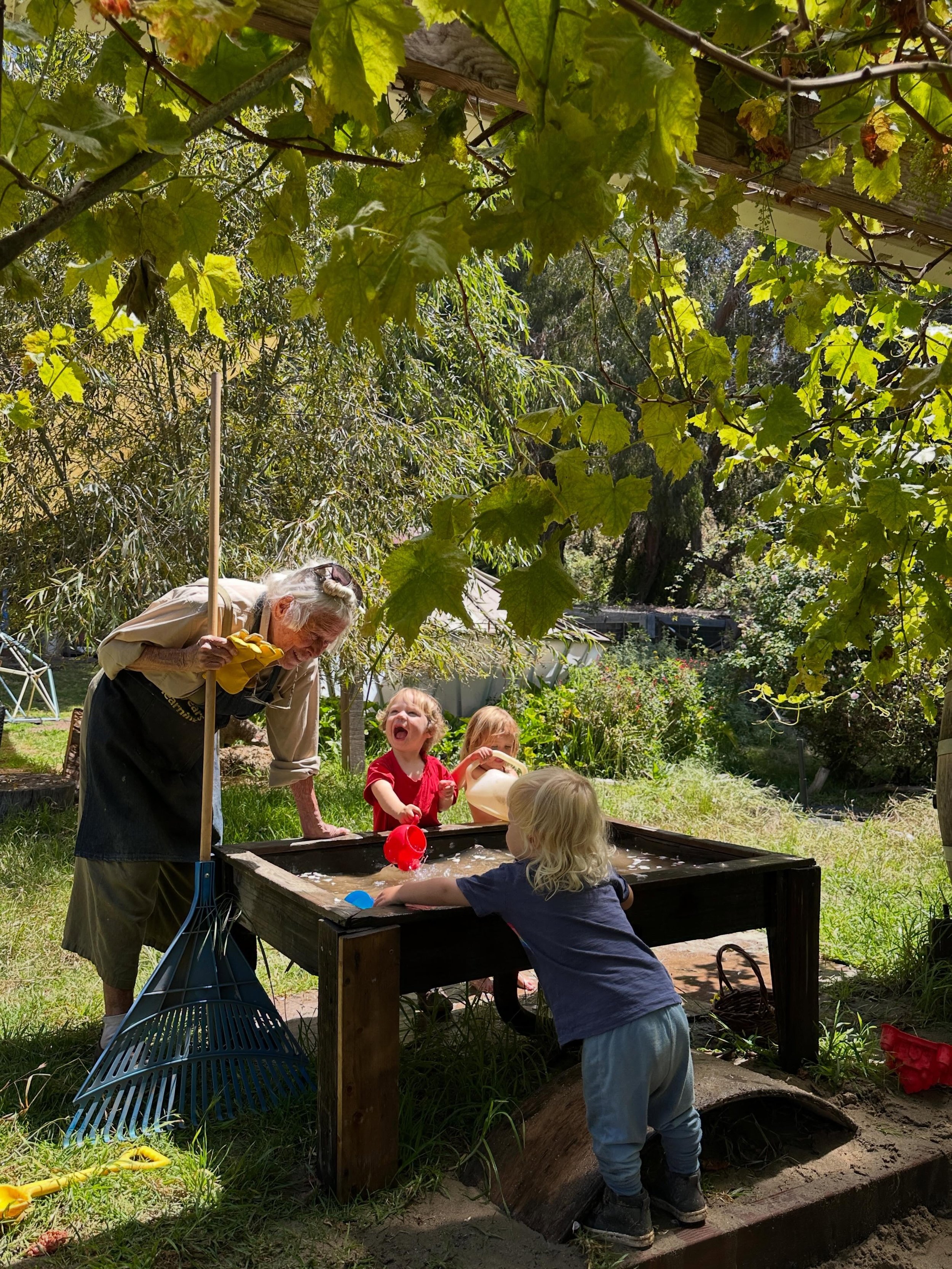 Meeting of worlds at the water table