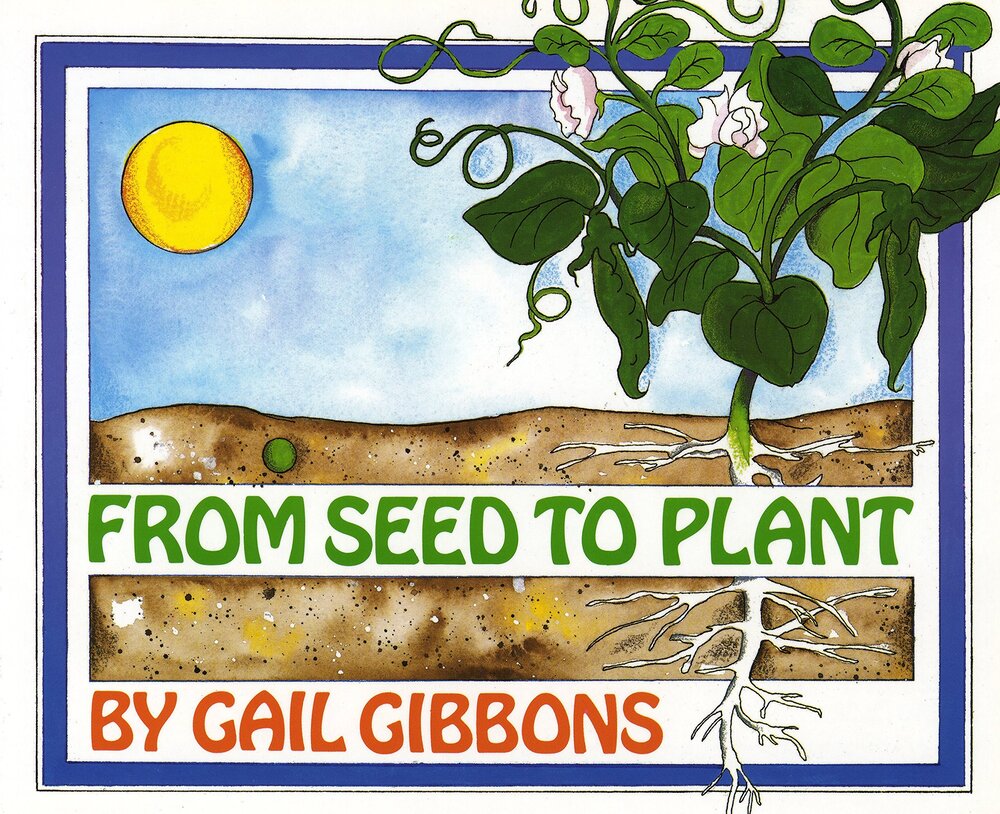 Garden Lessons: Parts of the Plant Mobile — Highland Youth Garden