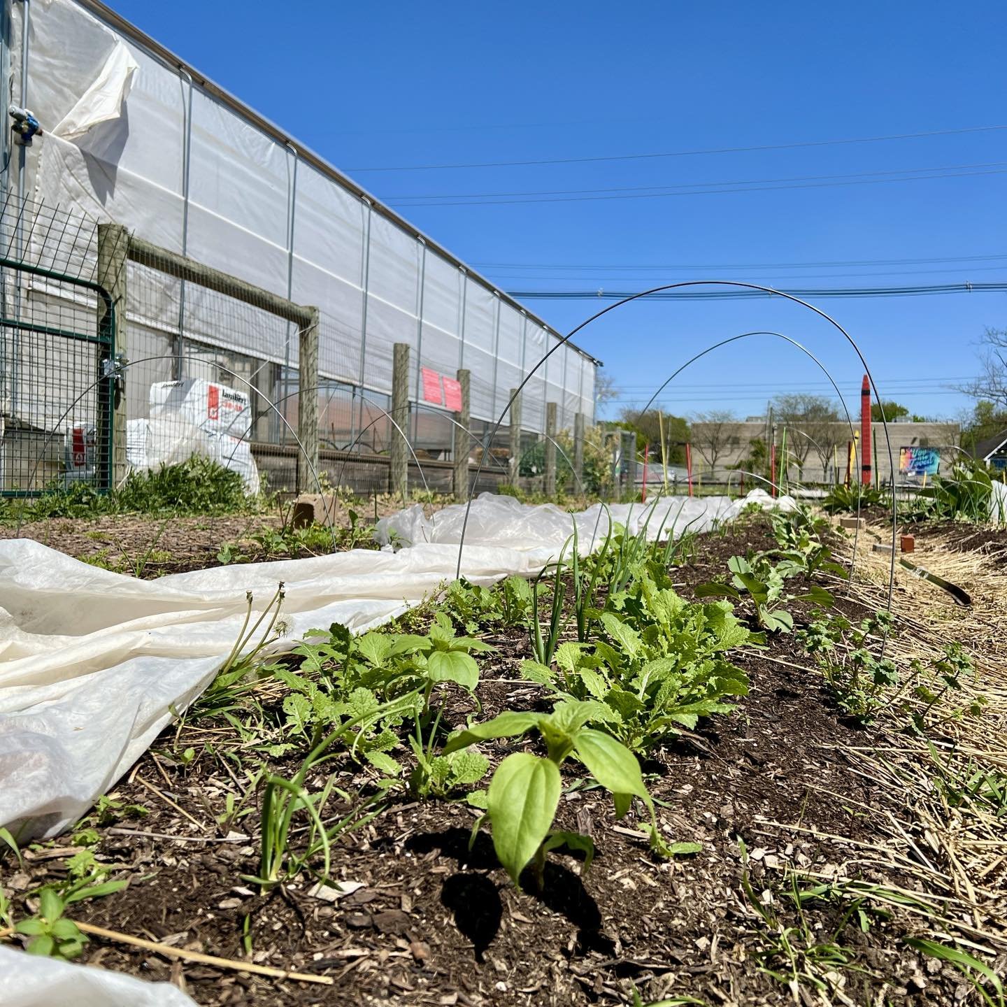 It&rsquo;s Earth Day! 

There are so many Earth Day events happening in and around Columbus and we hope you spend the day helping our planet too! 

Here are a few ideas on how you can celebrate Earth Day in Columbus and make a positive impact on our 