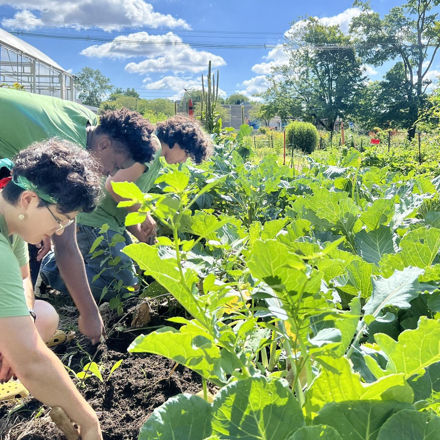 GARDEN TOURS: If you want to tour the garden to learn more about how we started and the journey to get to where we are today, stop by one of our 2 scheduled tours this month! 

August Garden Tours
Wednesday, 8/14 @ 5:30PM - 6:30PM
Saturday, 8/17 @ 10