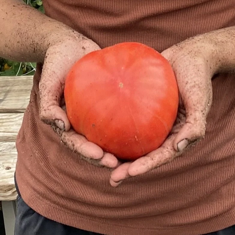 Highland's Red  Beefsteak