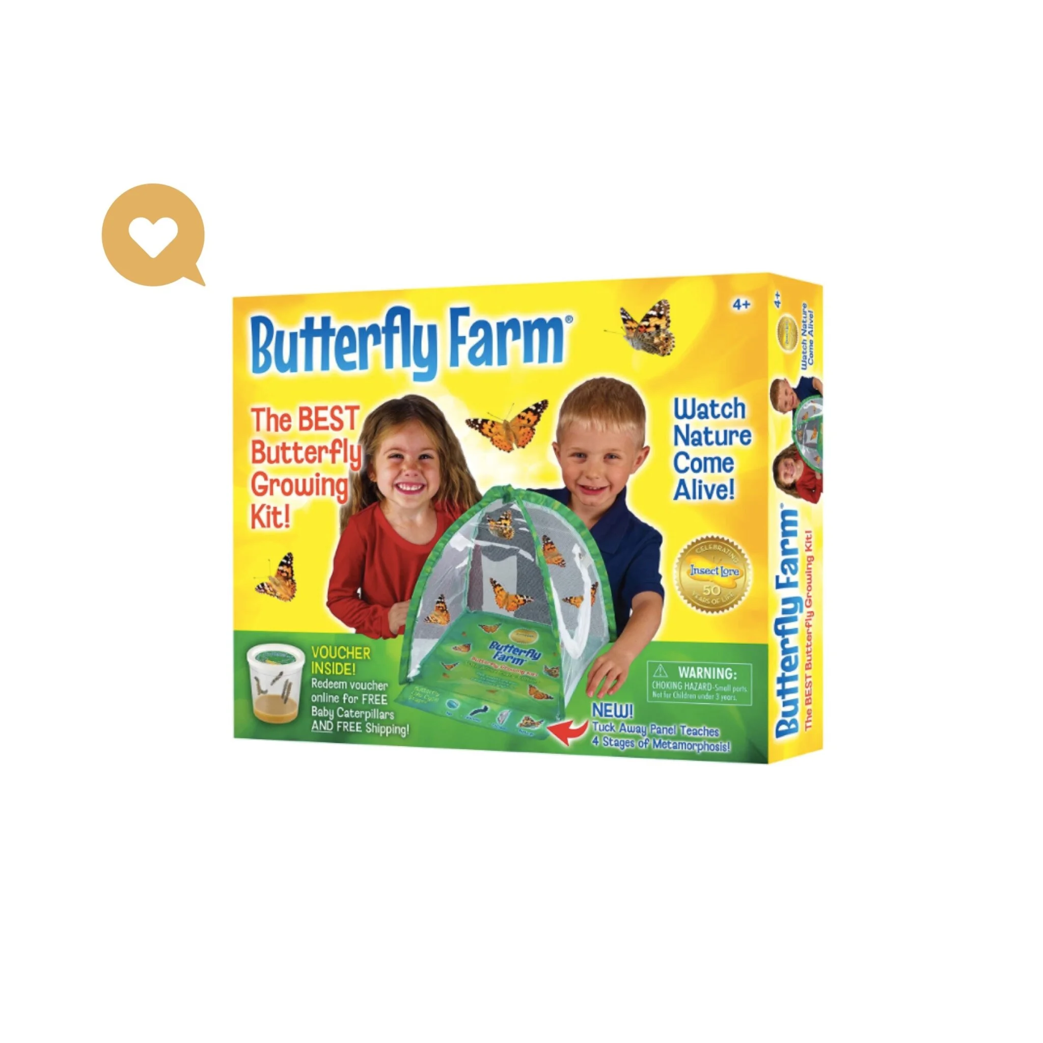 Insect Lore Butterfly Farm — The Lovin Sisters