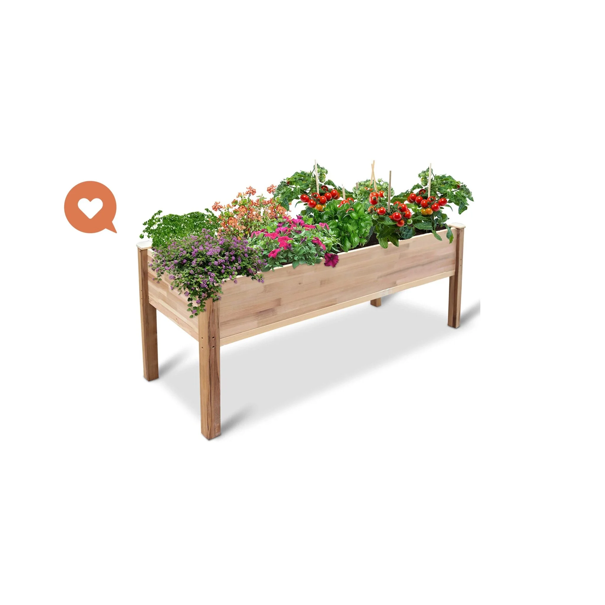 Raised Canadian Cedar Garden Bed — The Lovin Sisters