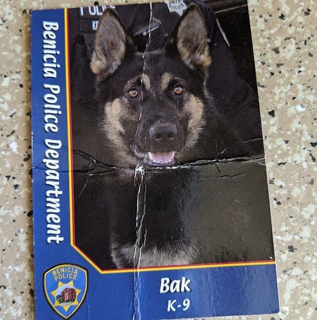 Going through Gavin's stuff is hard, but finding something amazing like this is worth it.
 This is from the first K9 Gavin met. #k9Bak now retired from @beniciapd was the #k9 that started it it all! He must've folded it up and put it in his pocket bu