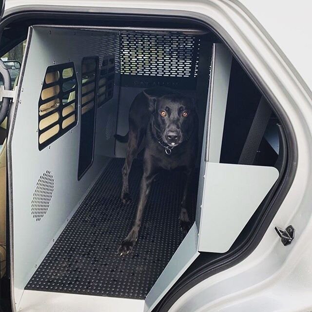 So happy to see our new buddy @k9sig  rollin safe and sound in his new ride!!! It&rsquo;s our please to help K9 handlers in need!! Welcome to the family!! #k9protection #k9sig