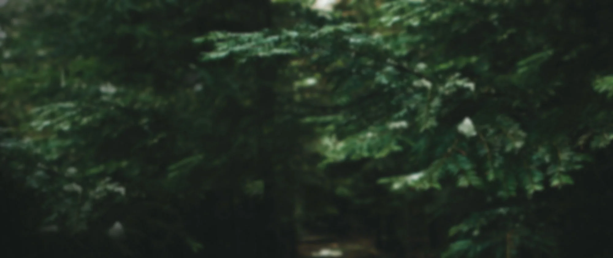 InnerWell-Psyschotherapy-Park-City.jpg