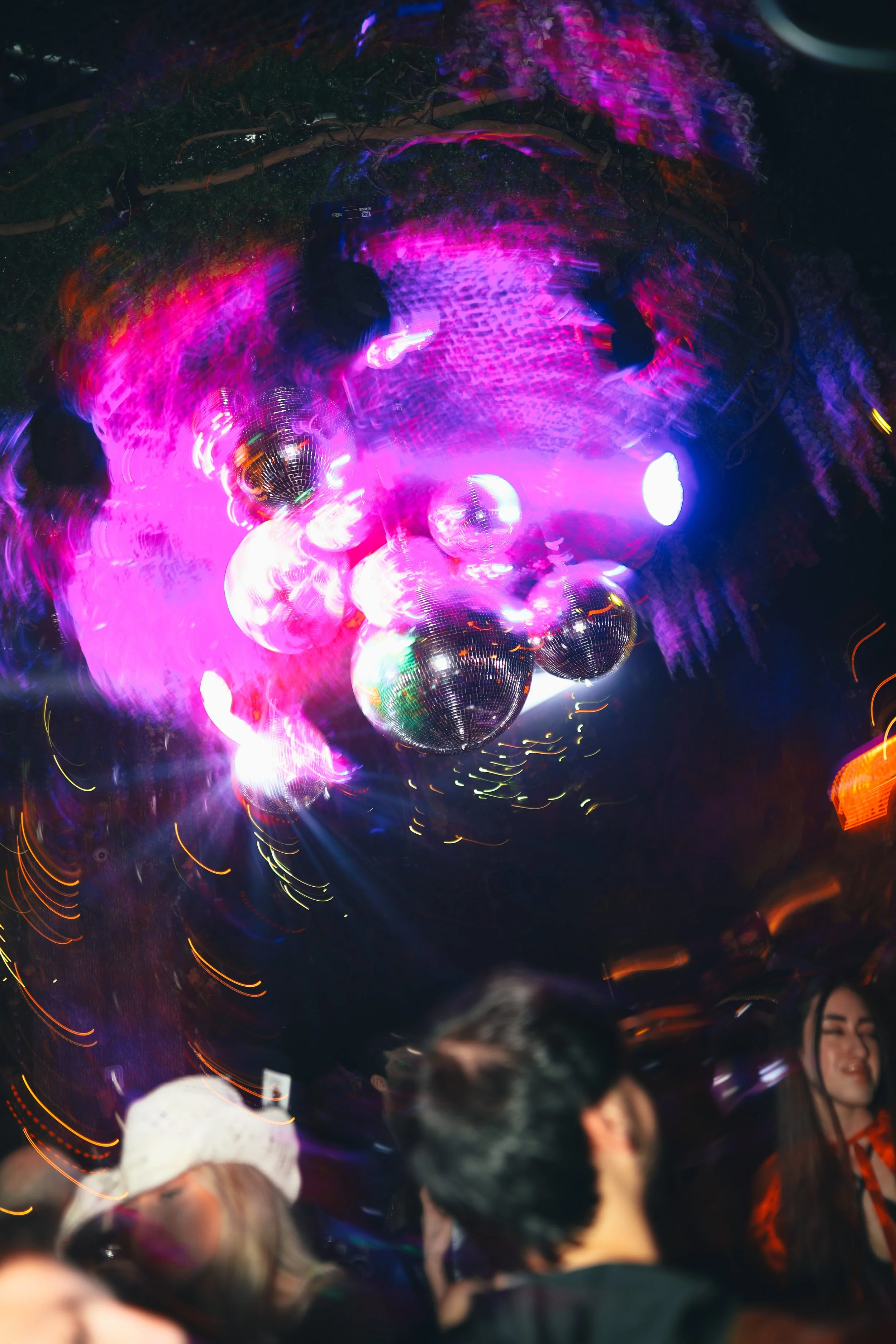 DEC_0014.jpg