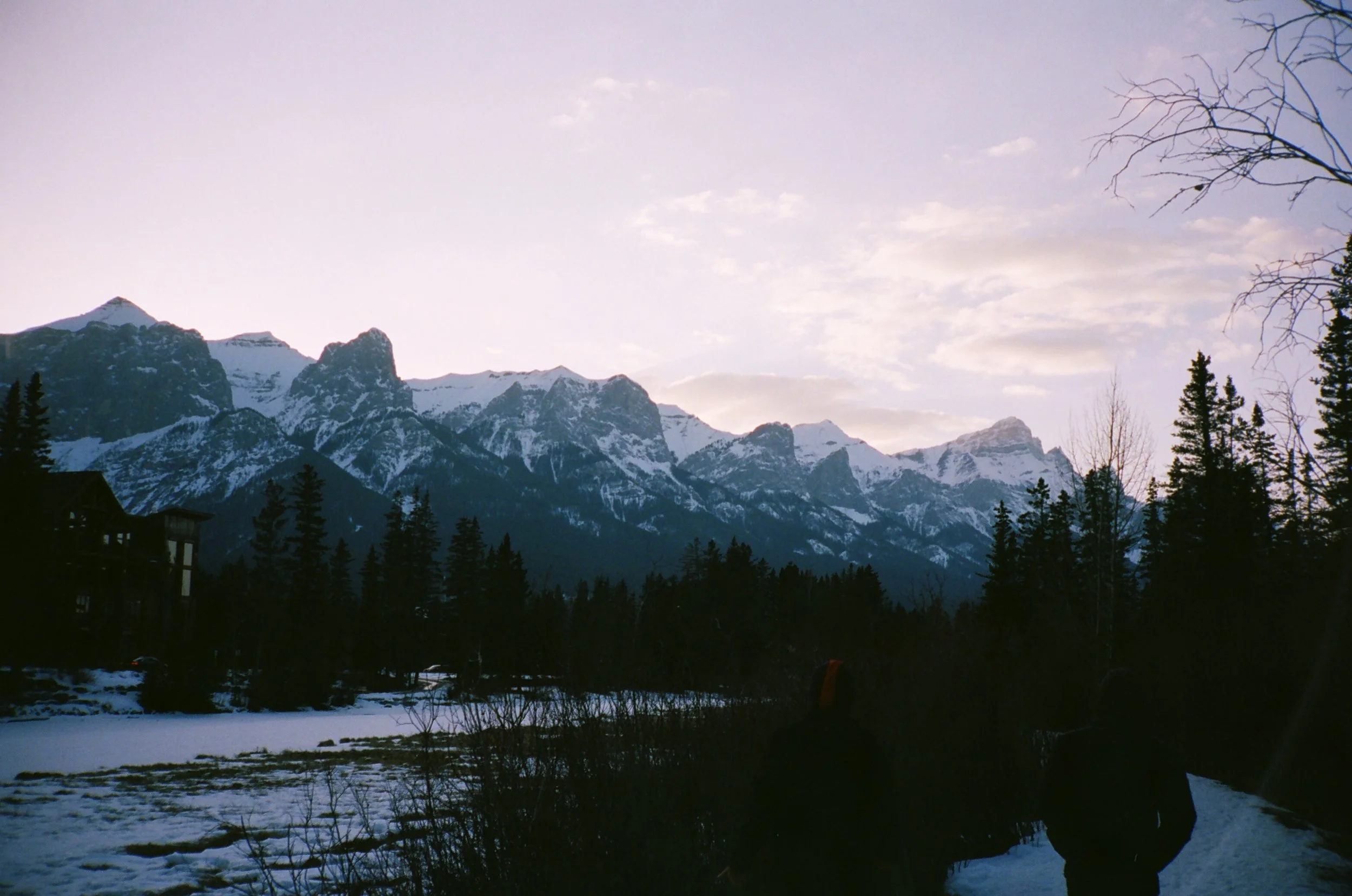 11220019.JPG