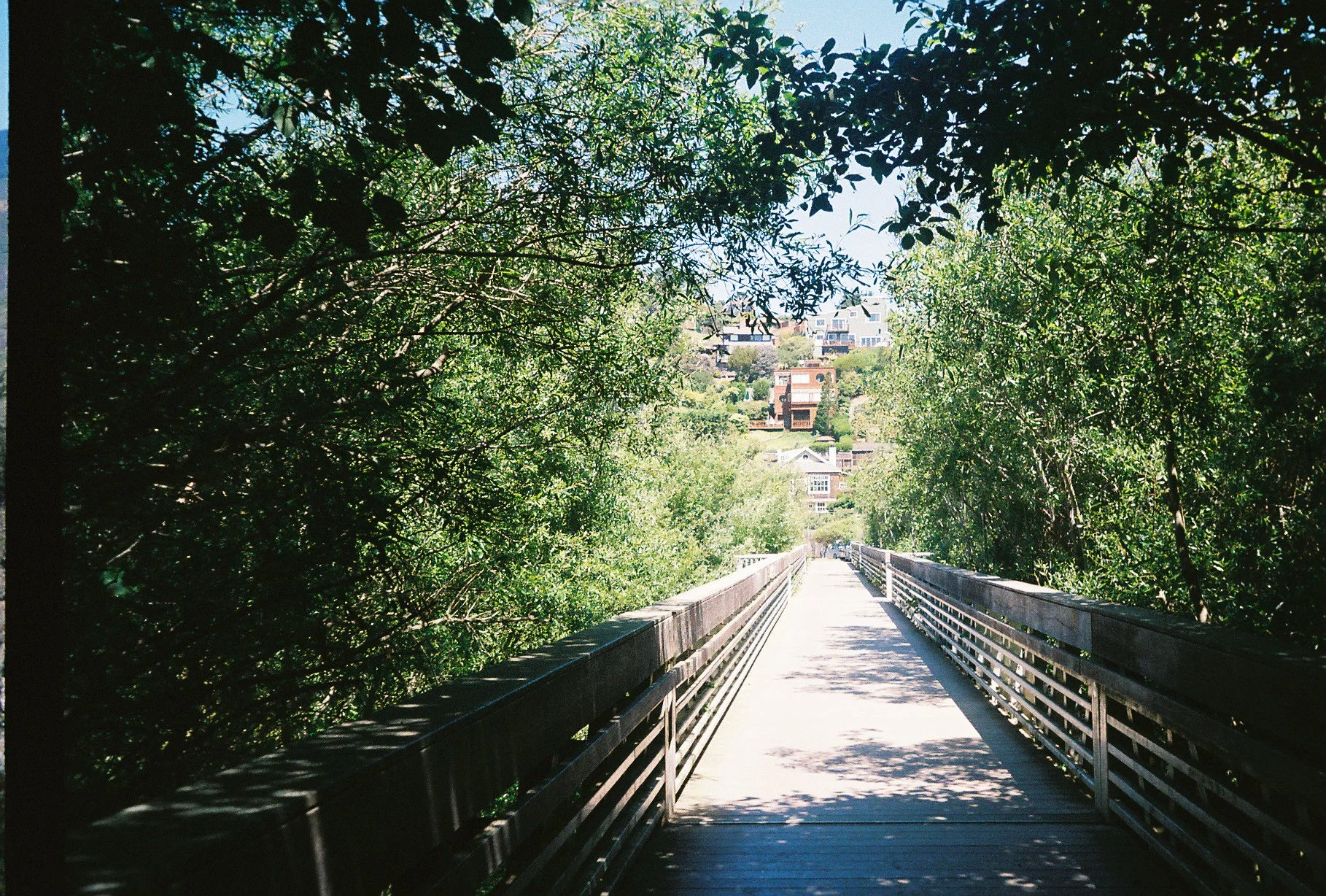 9735Intind002932-R1-050-23A.jpg