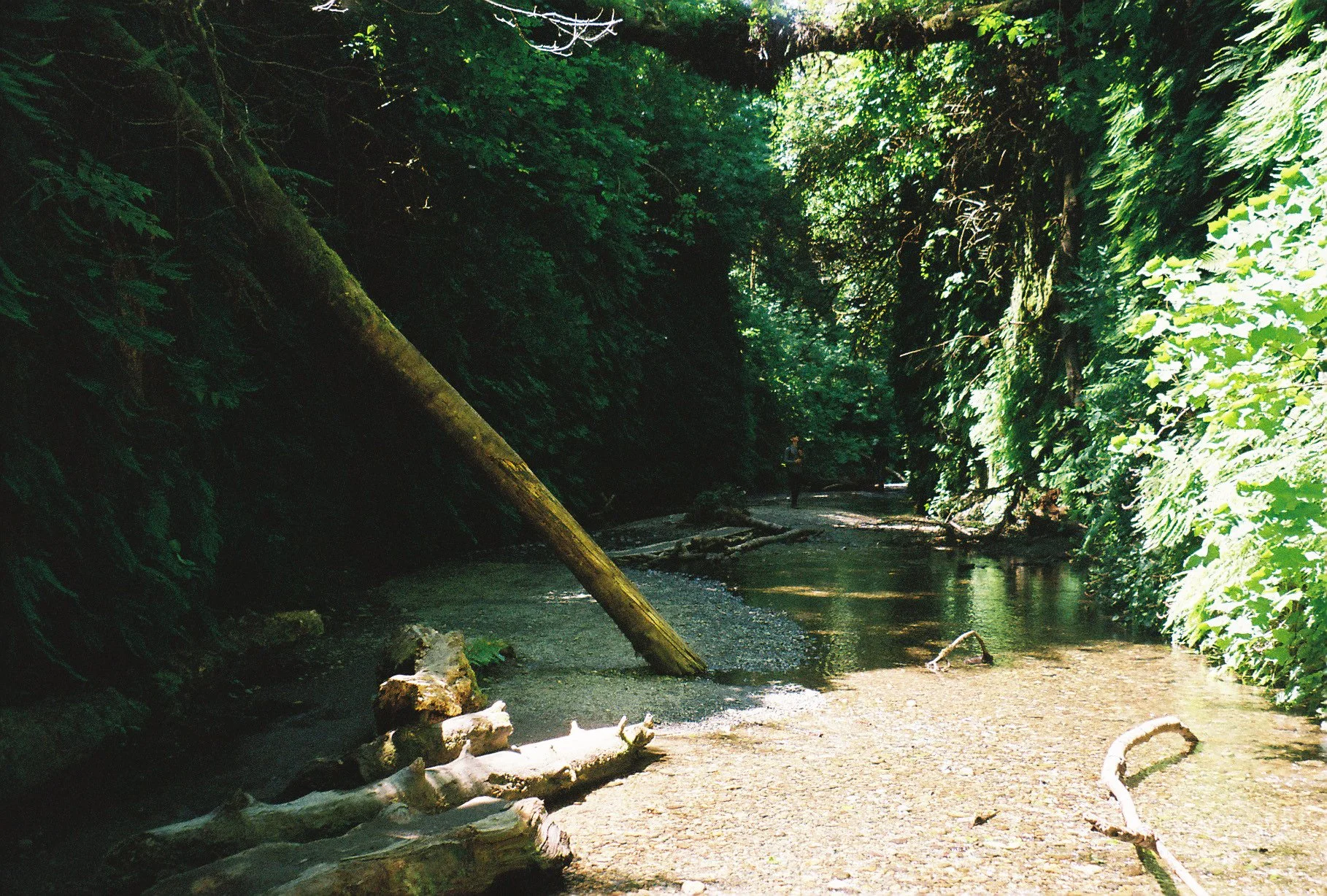 9735Intind002933-R1-048-22A.jpg