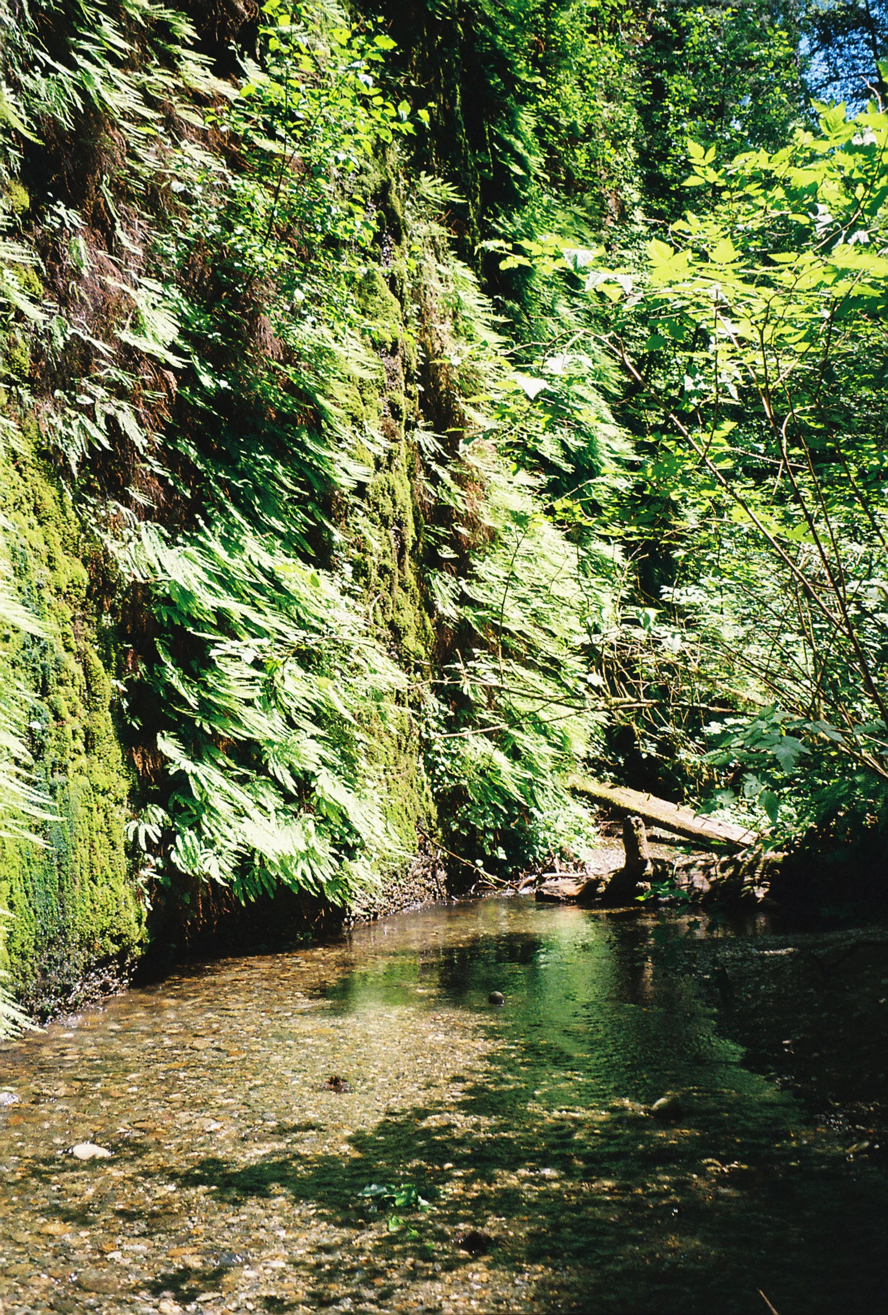 9735Intind002933-R1-050-23A.jpg