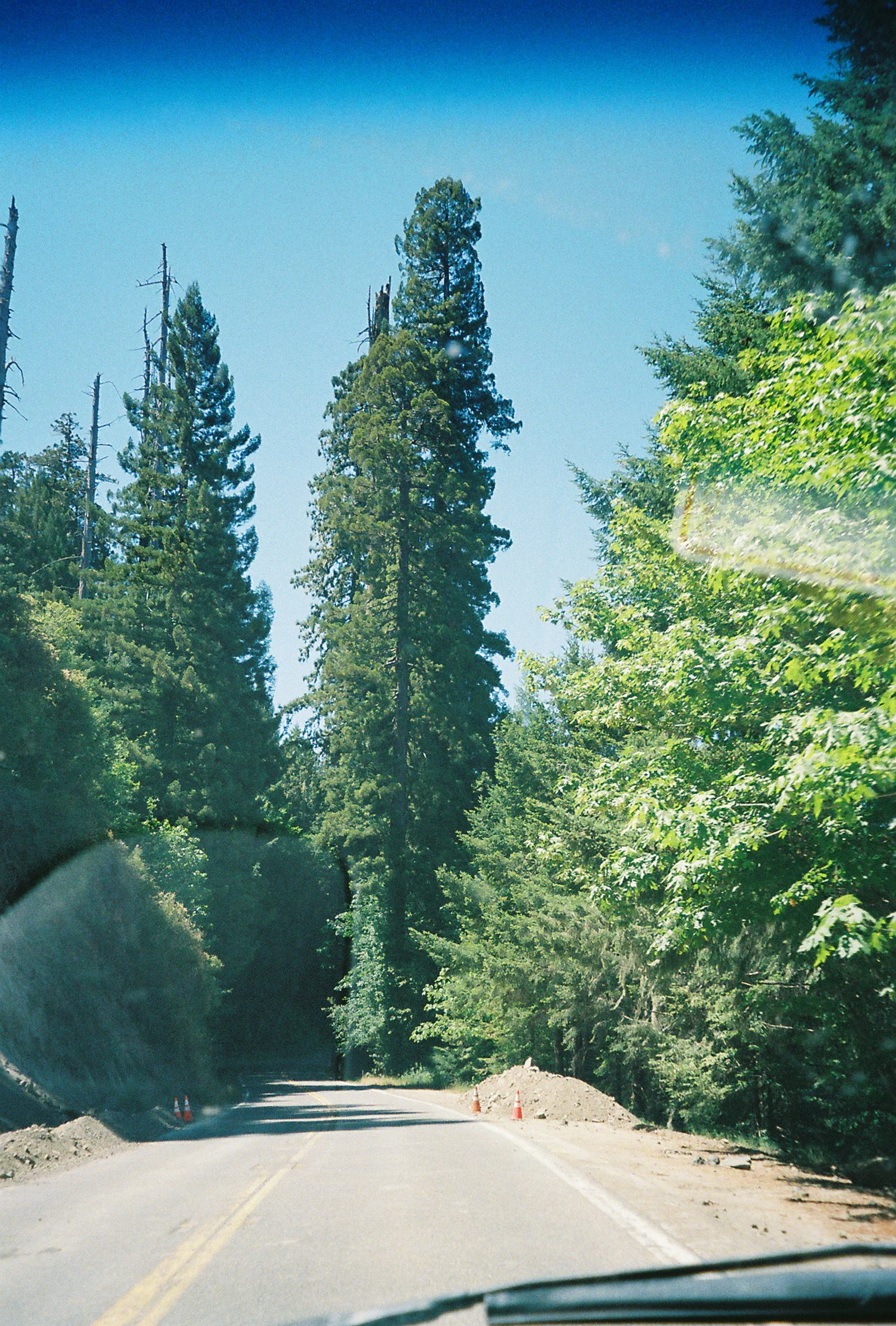 9735Intind002934-R1-051-24.jpg