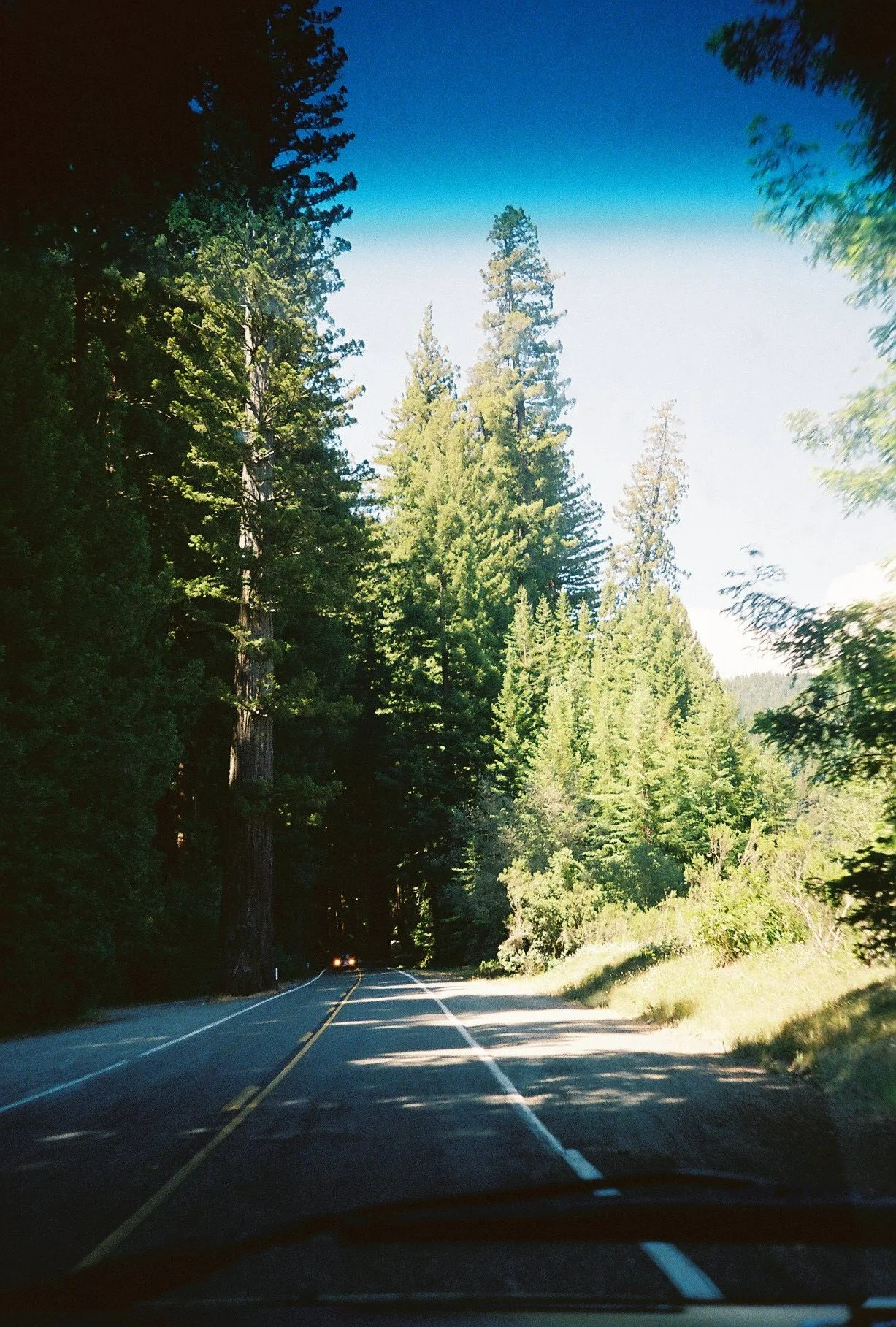 9735Intind002934-R1-053-25.jpg