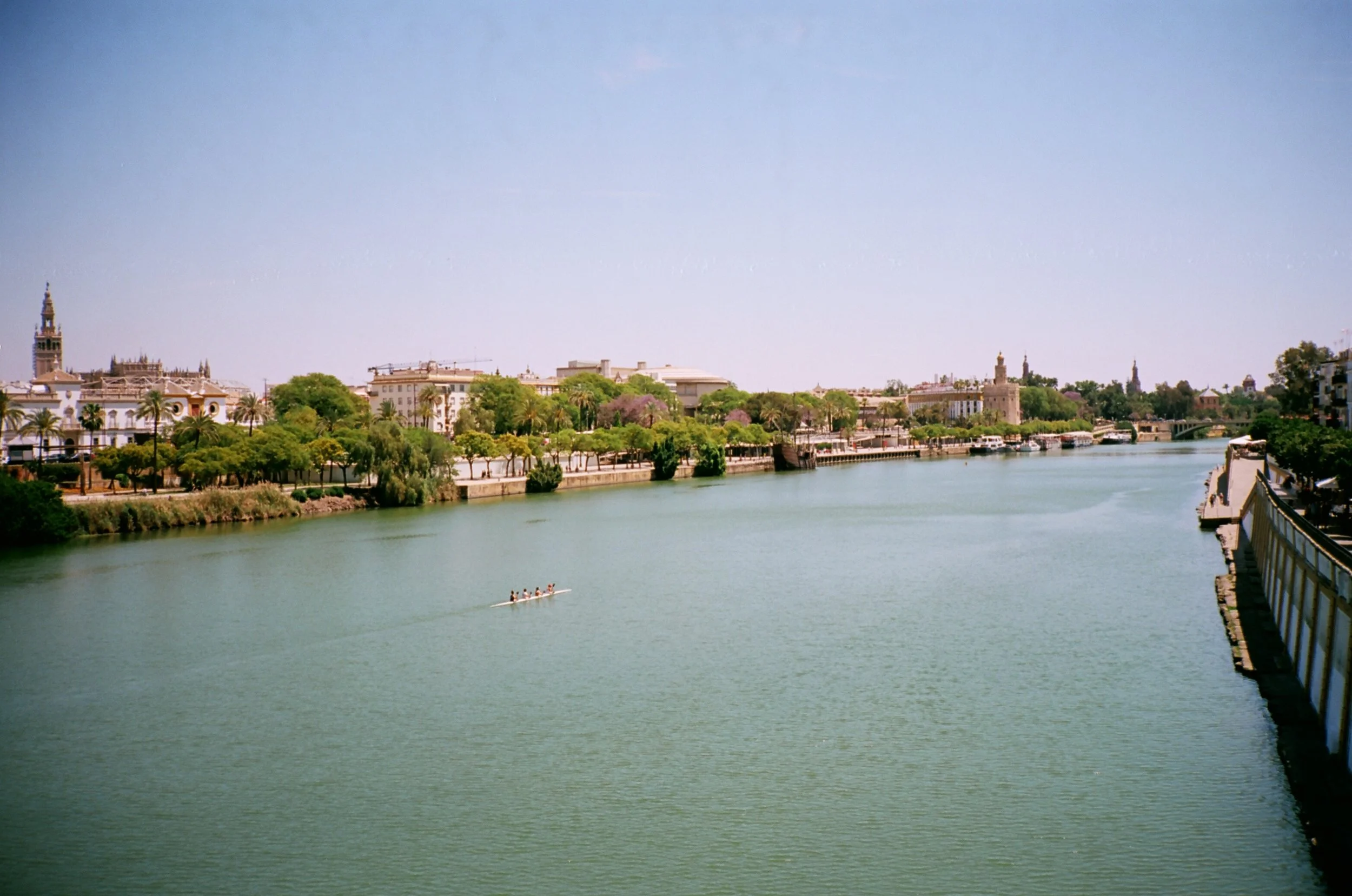 14420035.JPG