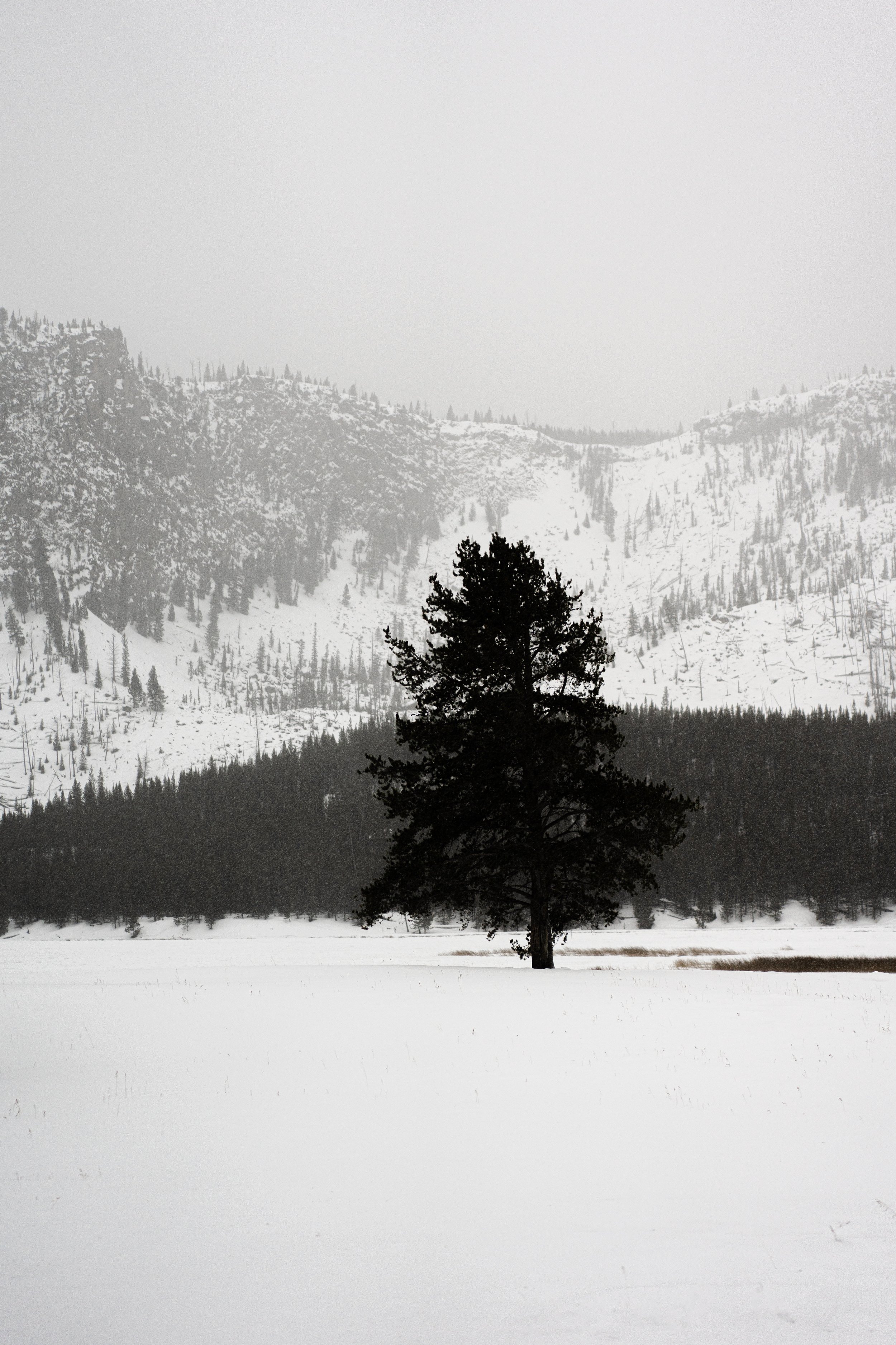 DEC01412.jpg
