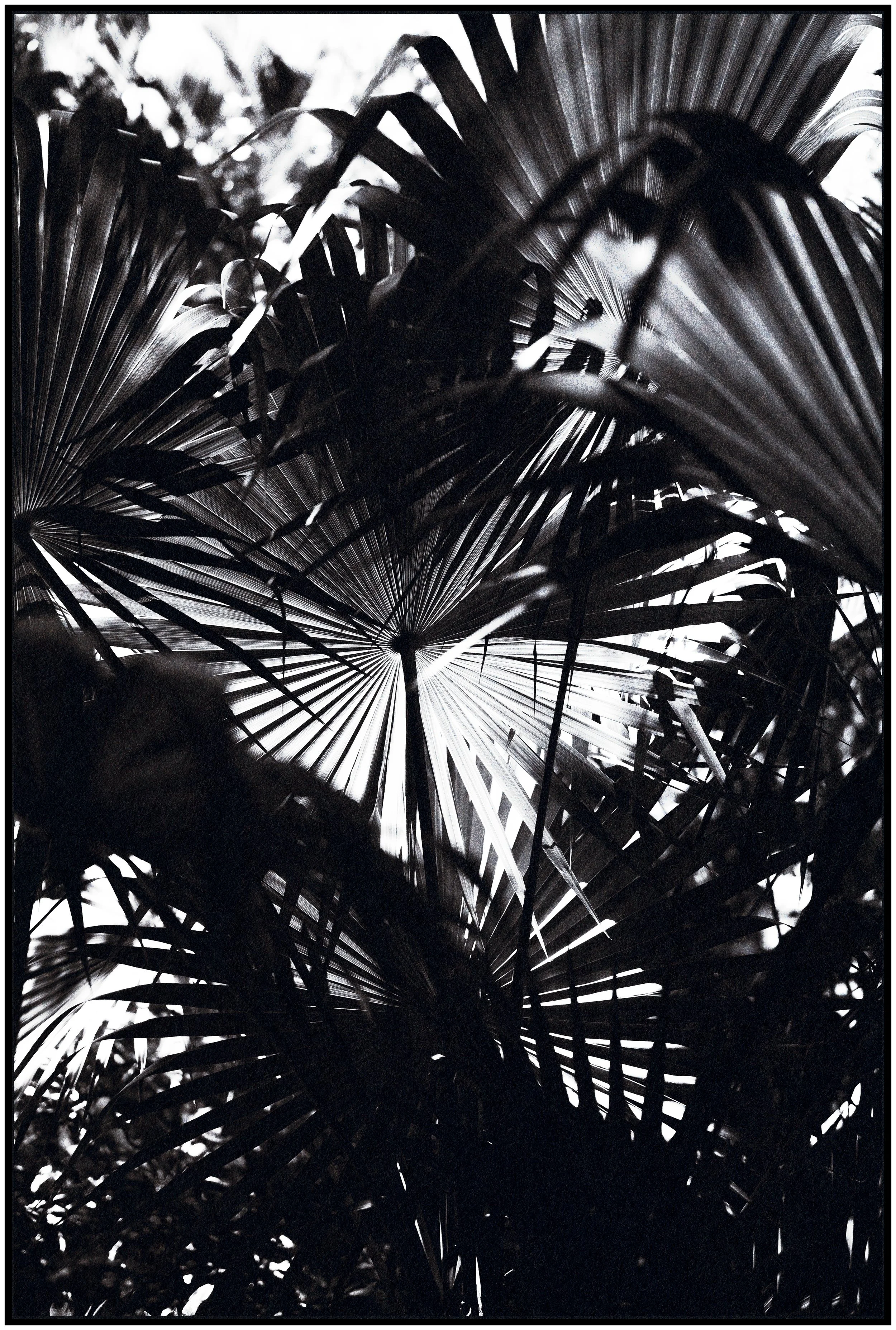 DEC04052 copy-paper--framed.JPG