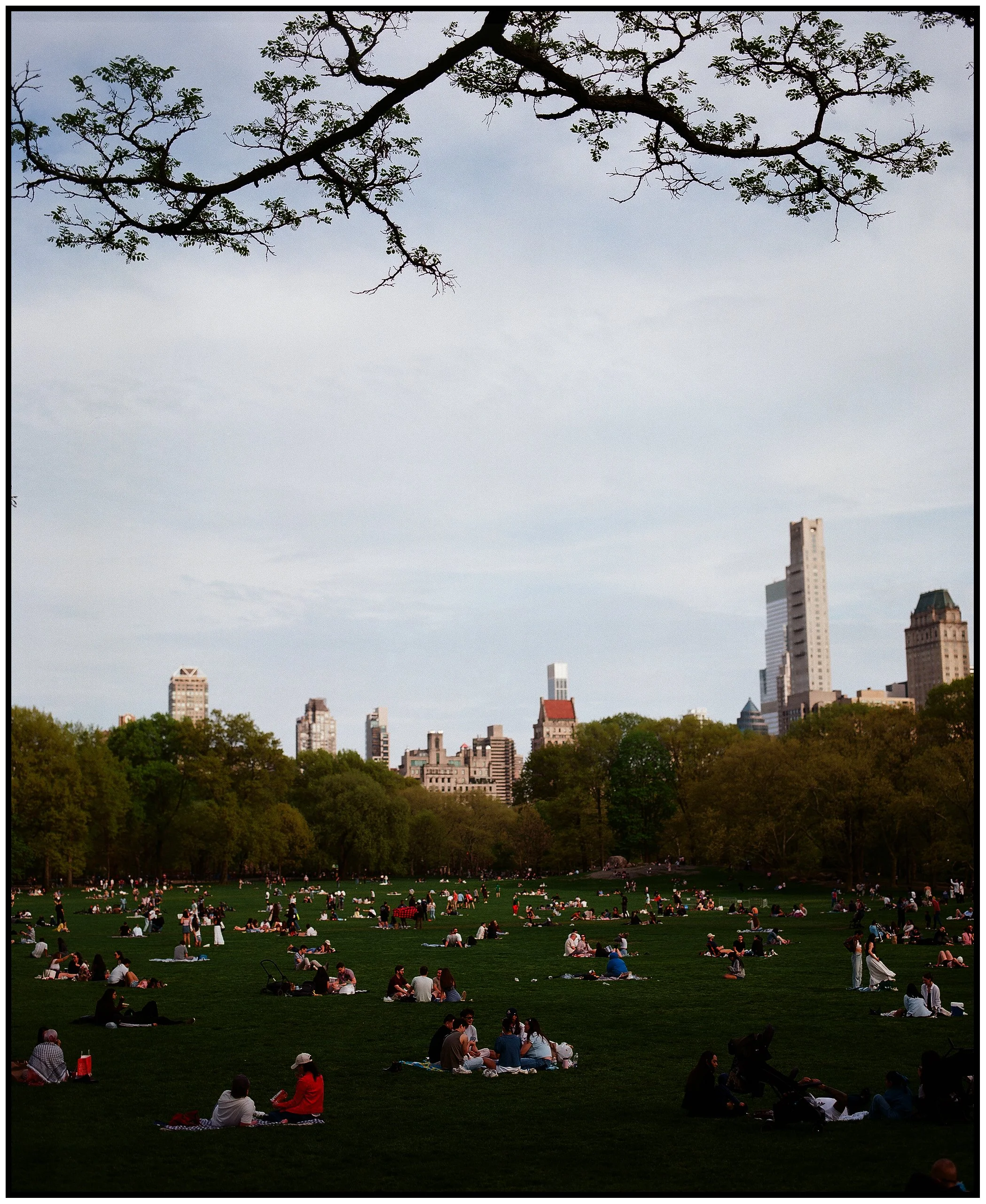 000794040008 copy.JPG