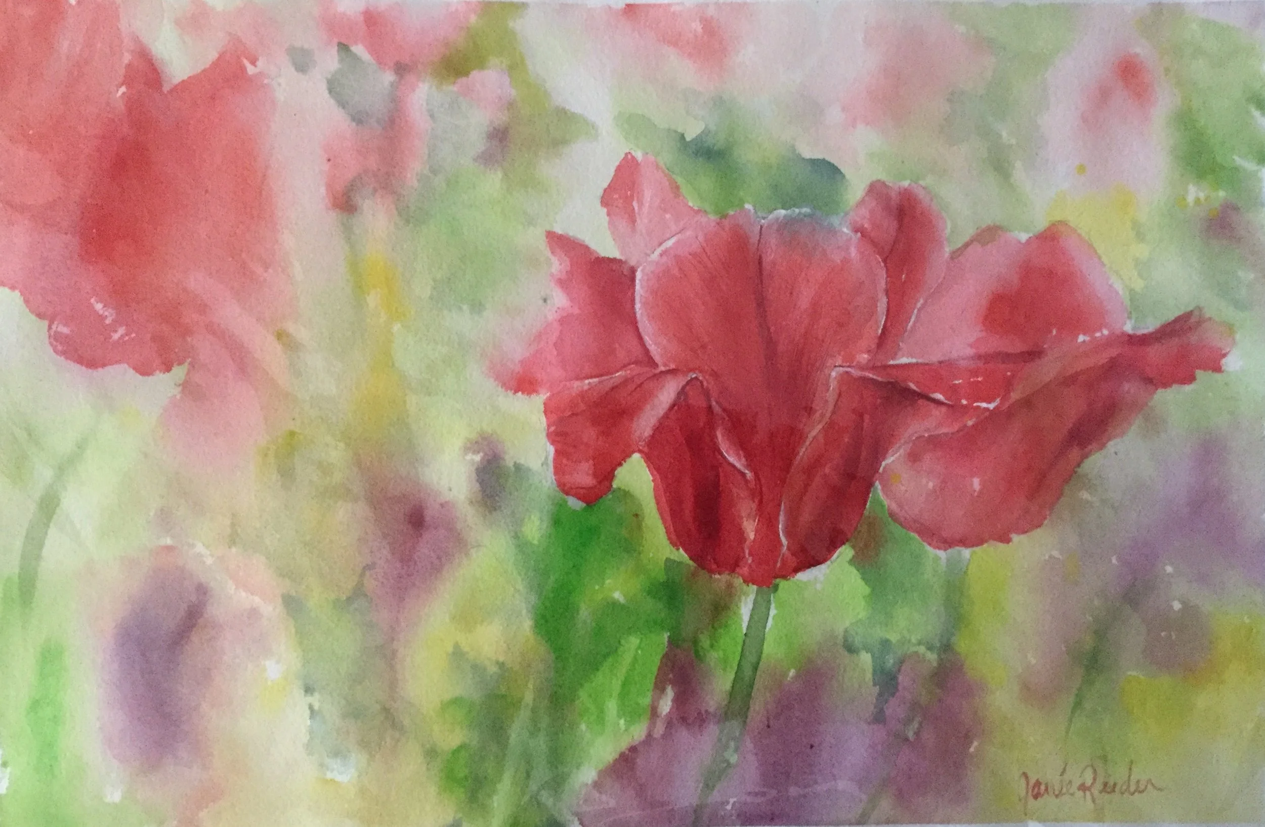 Tulip Friends     15" x 22"