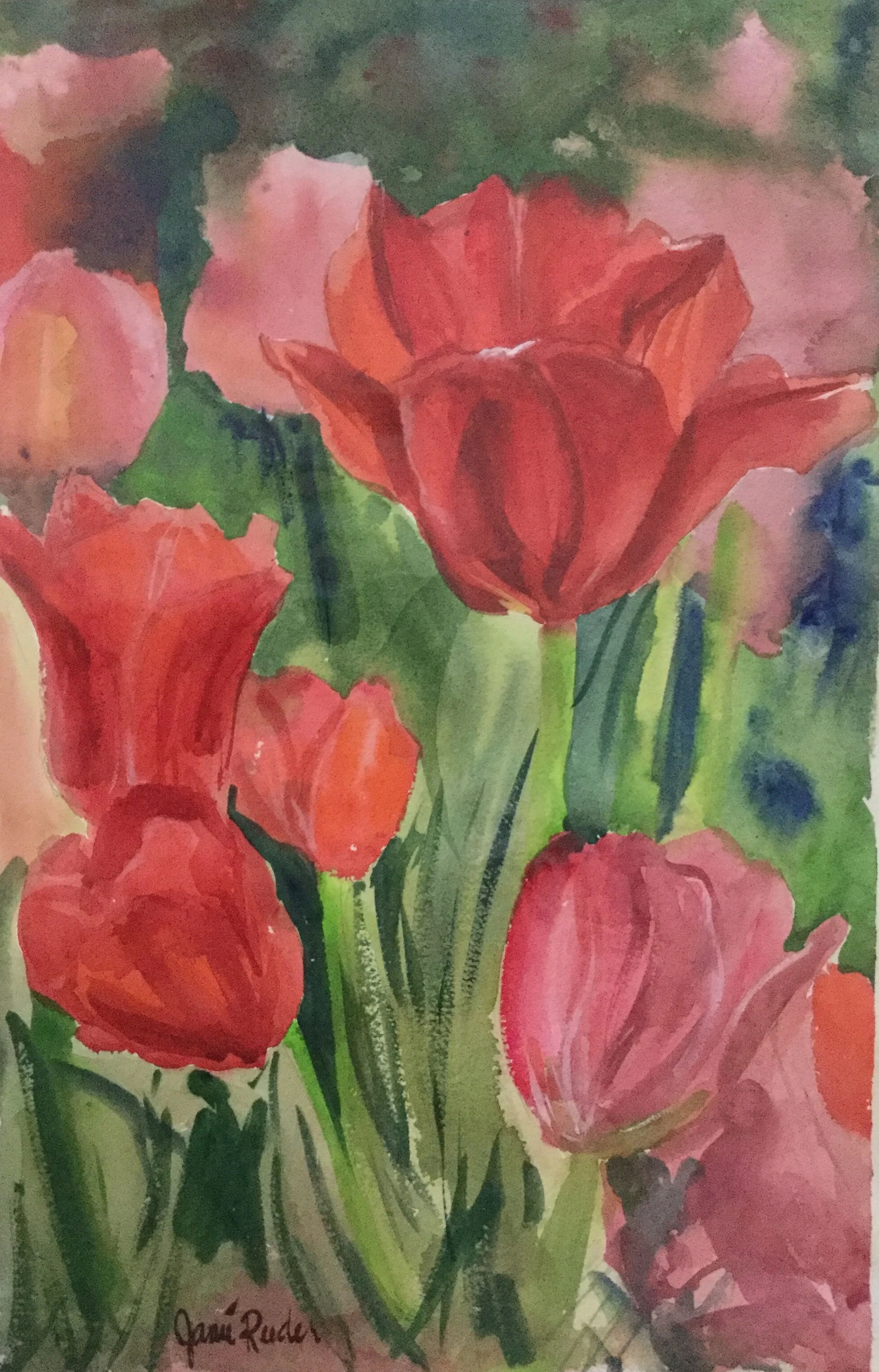 Dallas Arboretum Tulip Party     22" x 15"