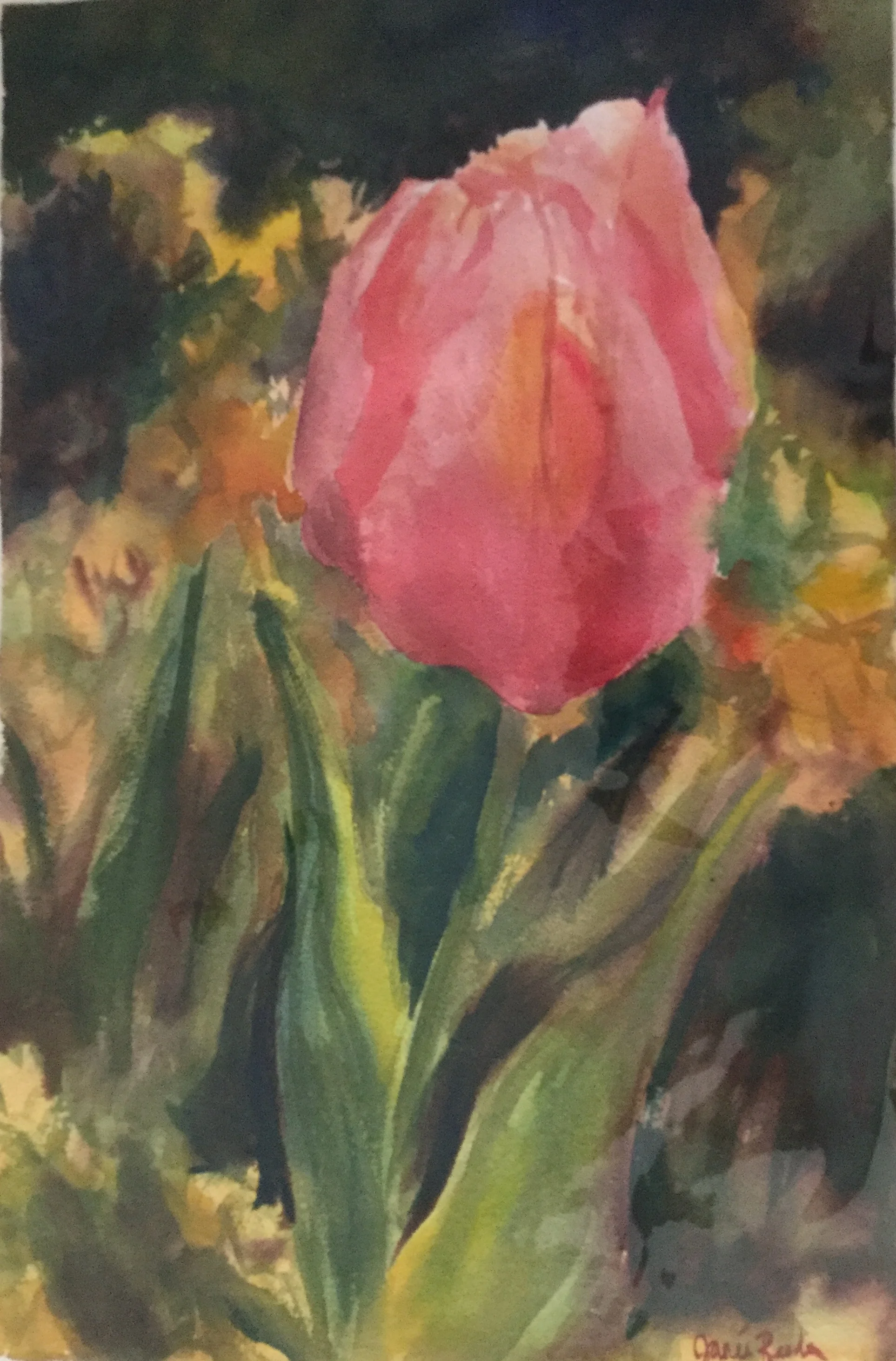 Her Majesty the Tulip     22" x 15"
