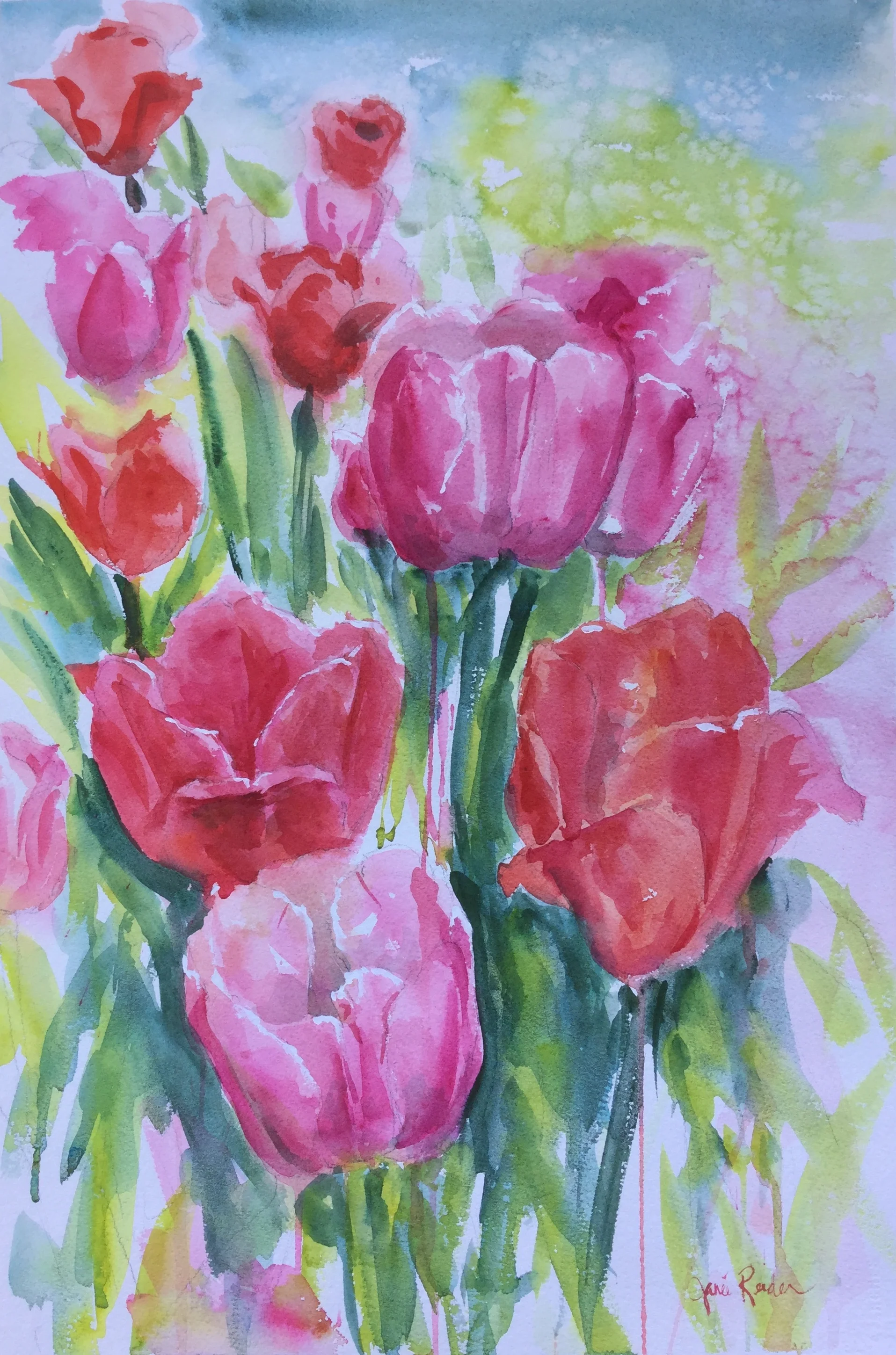 Tulip Field     22” x 15”.